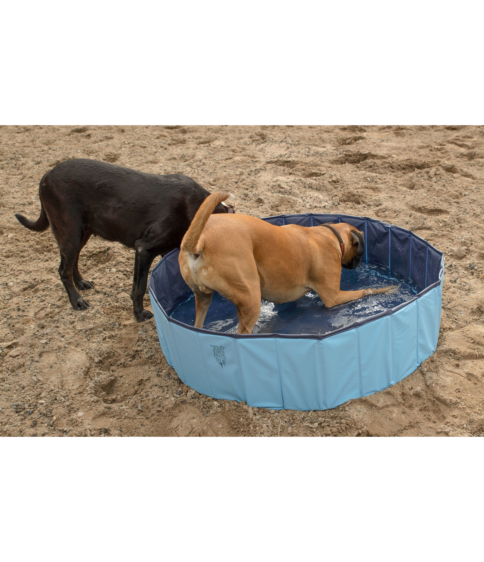 Hunde-Pool Kaya