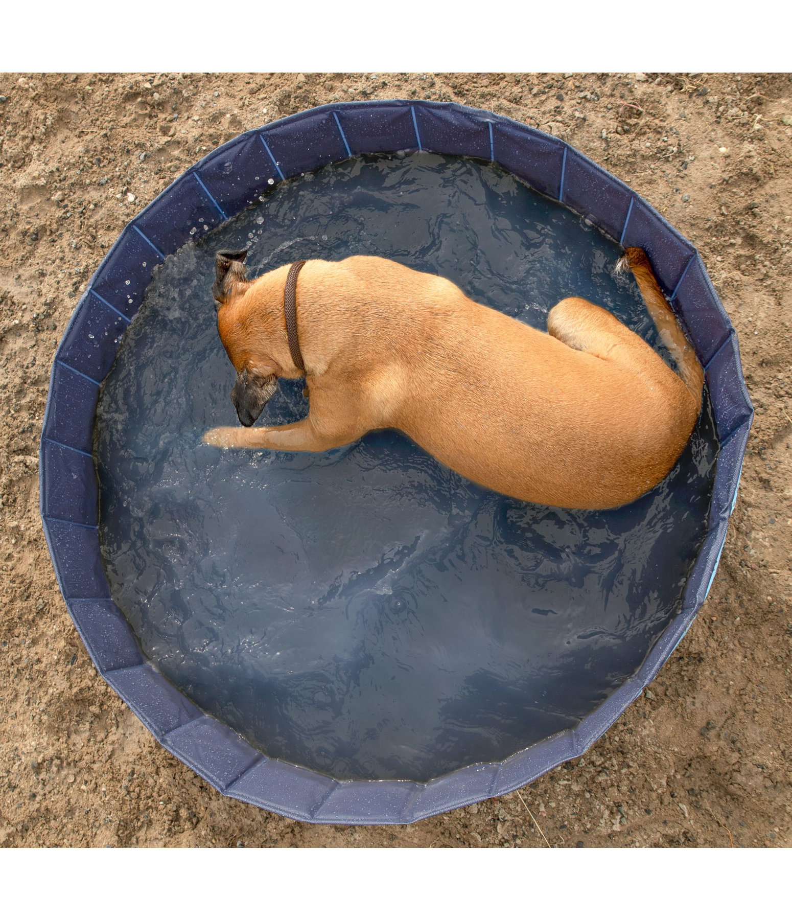 Hunde-Pool Kaya