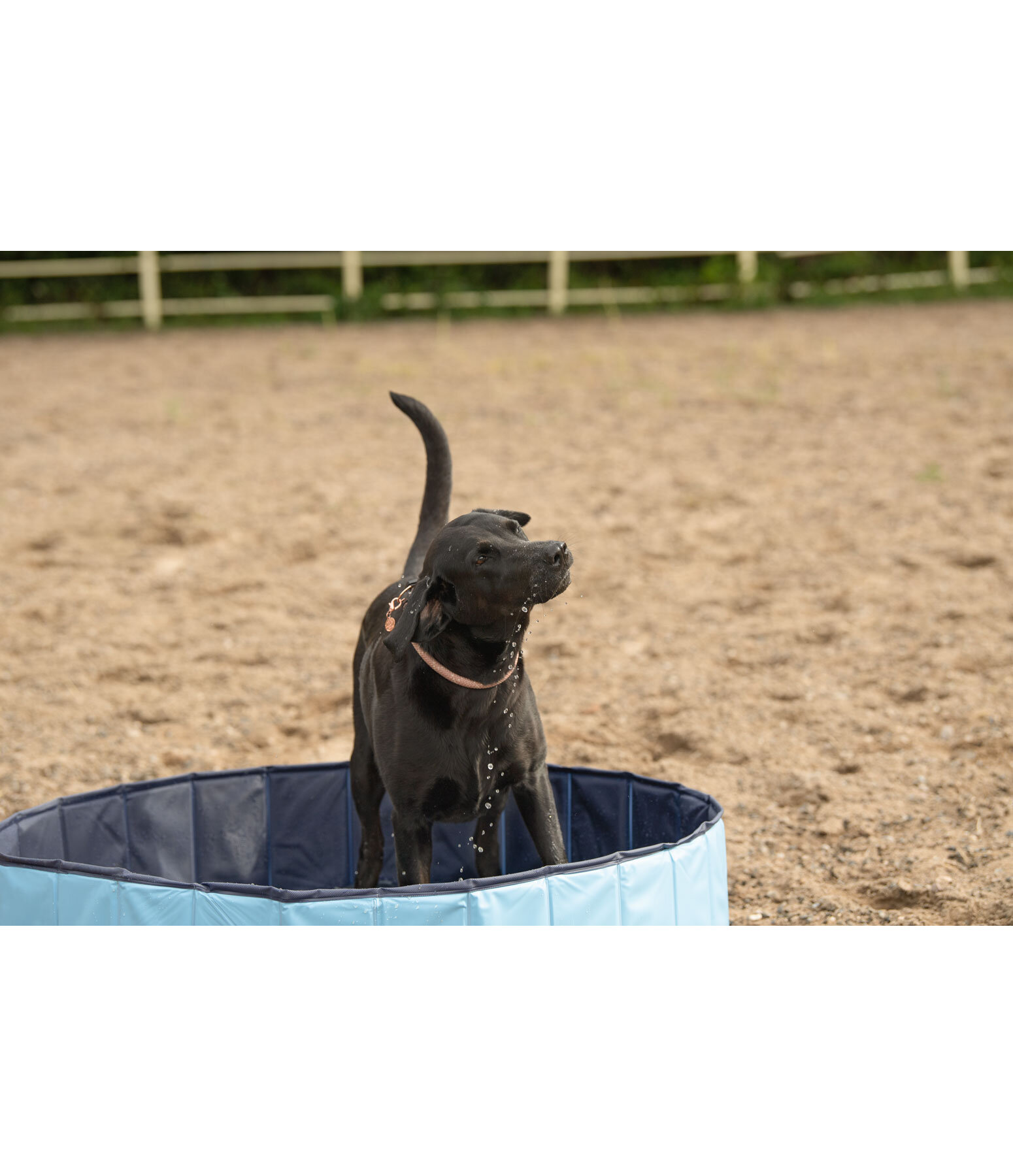Hunde-Pool Kaya