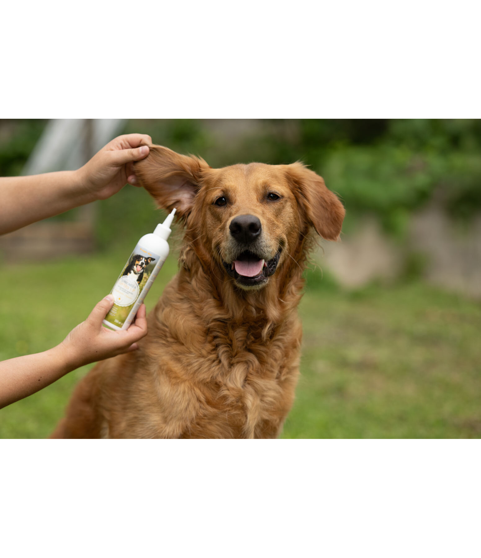 Hunde-Ohrreiniger Listen Up