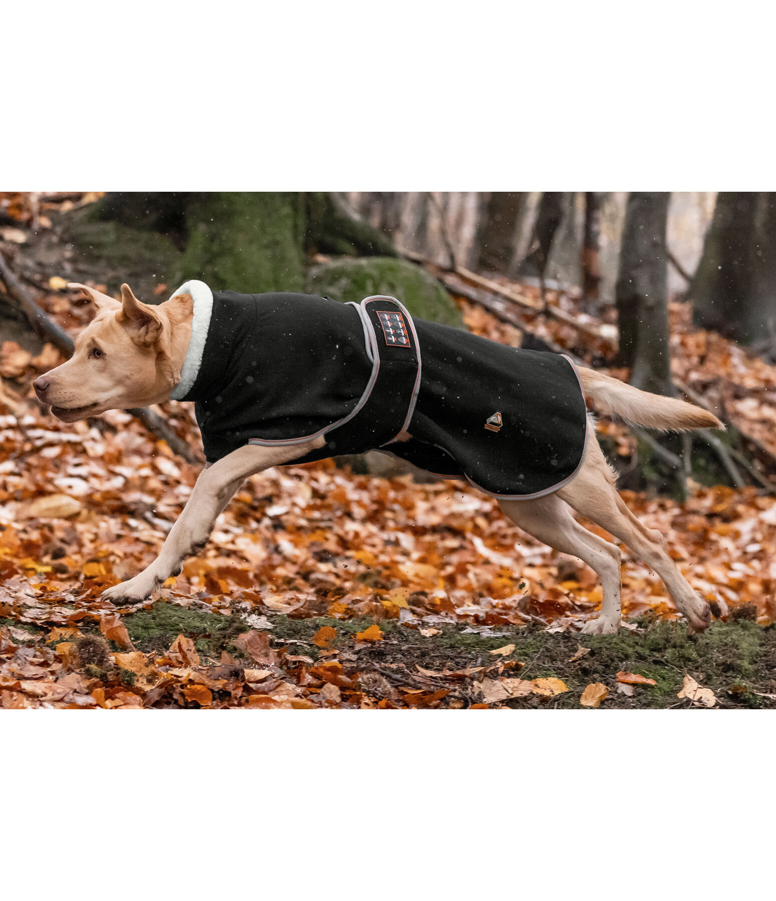 Fleece-Hundemantel Ceramic Rehab