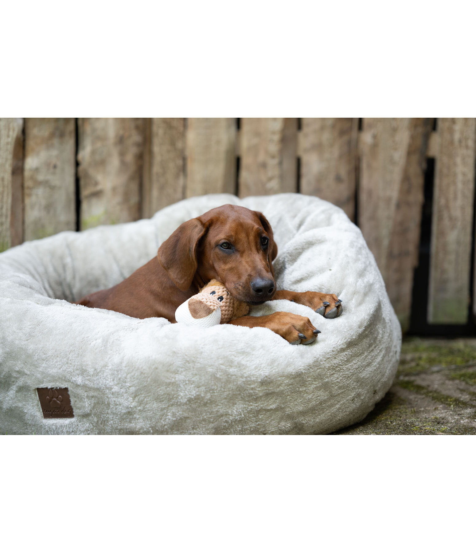 Hundespielzeug Kuschel-L�we Lio