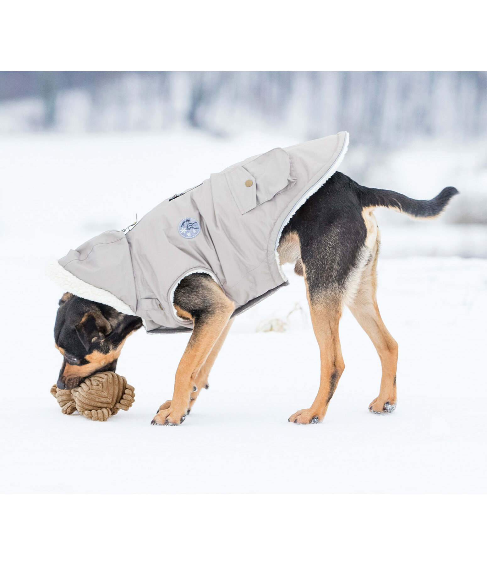 Hundespielzeug Kuschel-Br Bruno