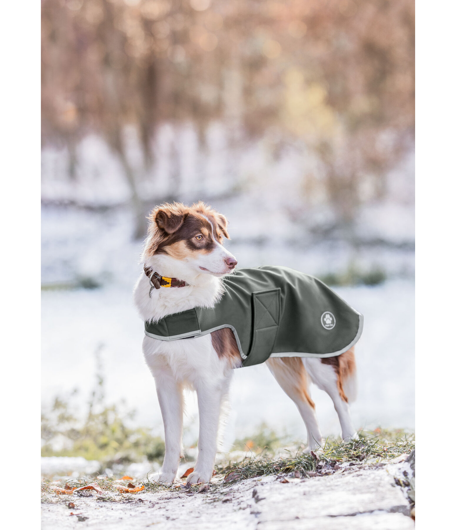 Softshell-Hundewalker Athlete, 0 g