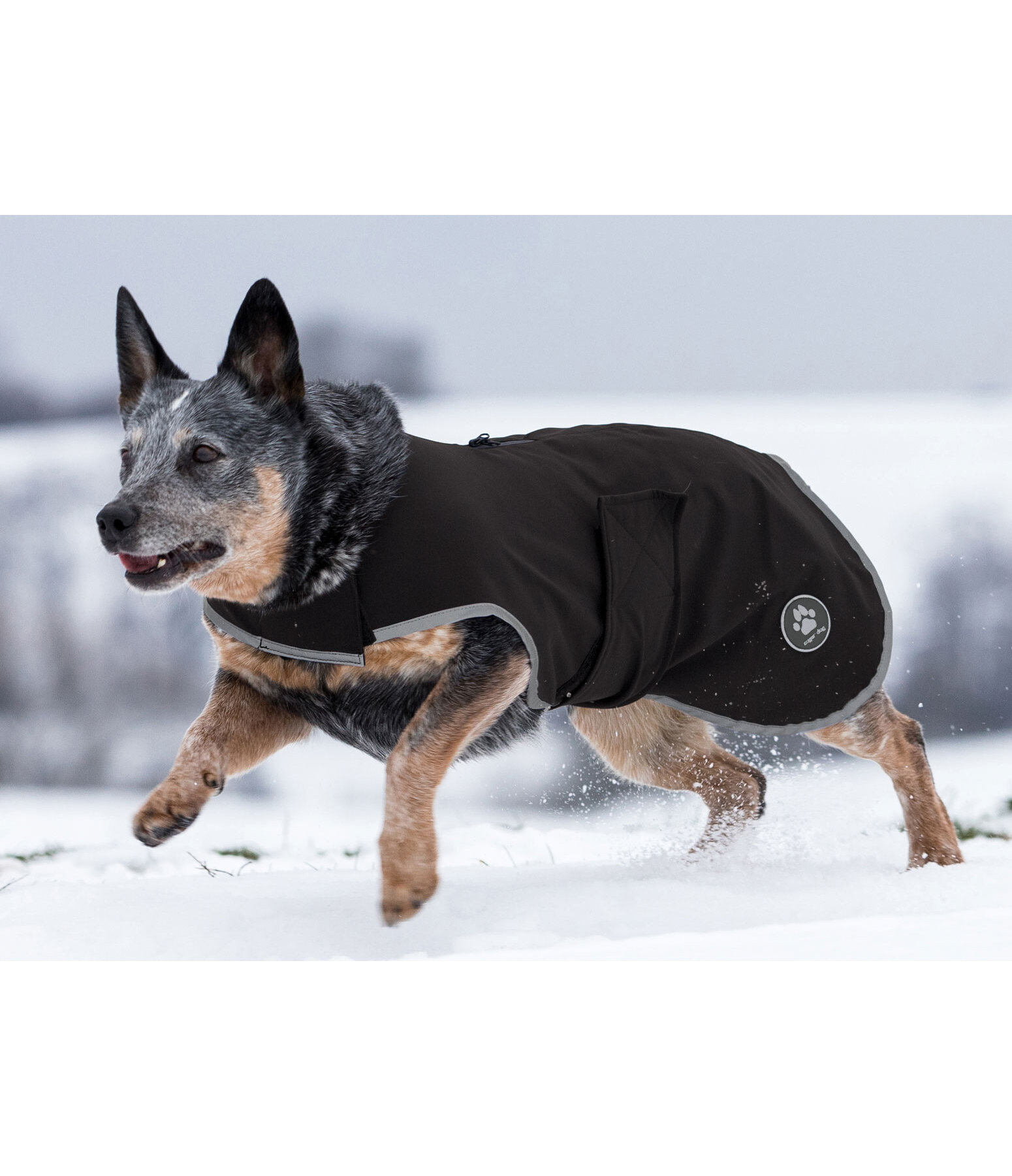 Softshell-Hundewalker Athlete, 0 g