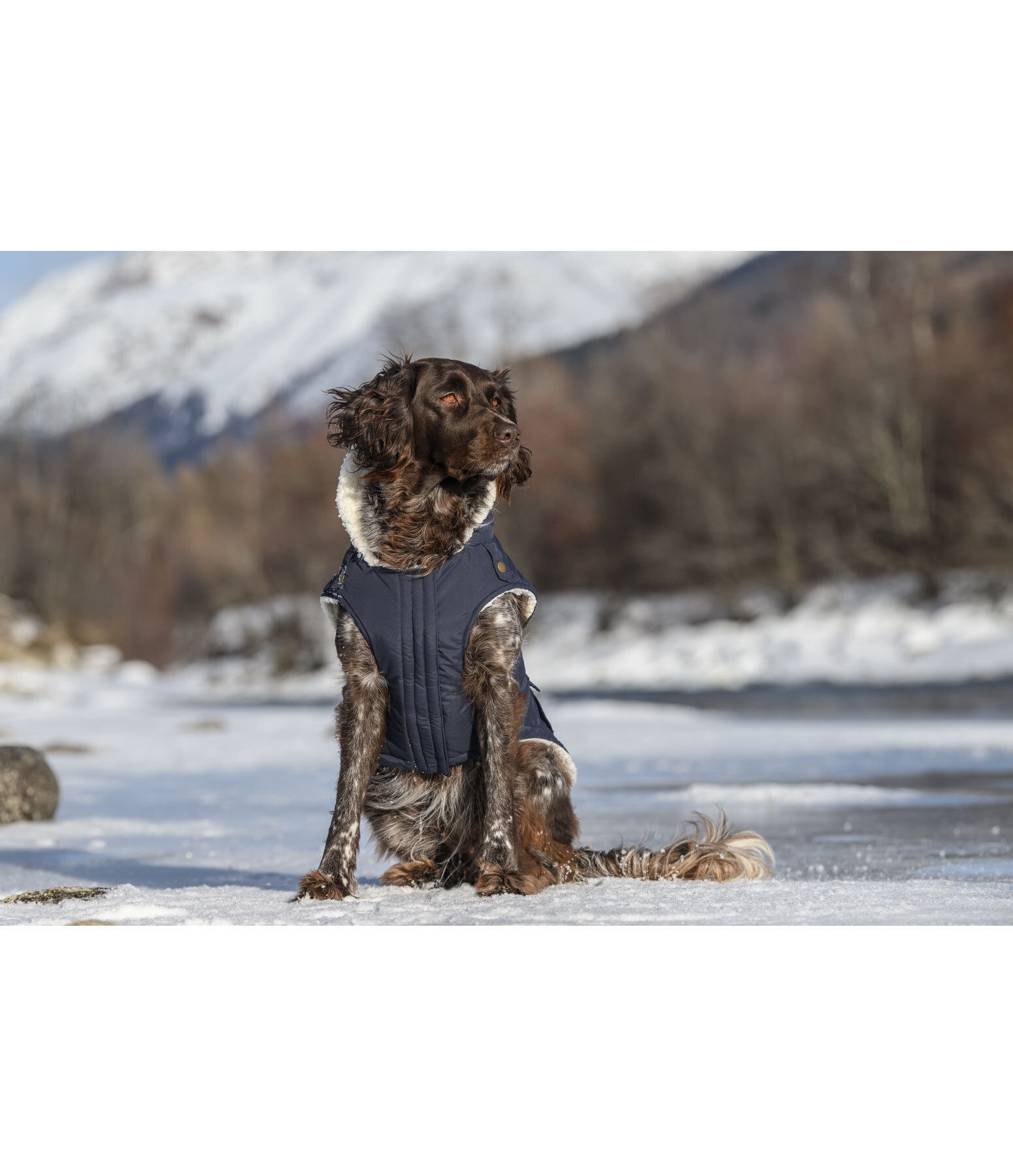 Regen-Hundeparka Wilbur mit Sherpa-Innenfutter, 60 g