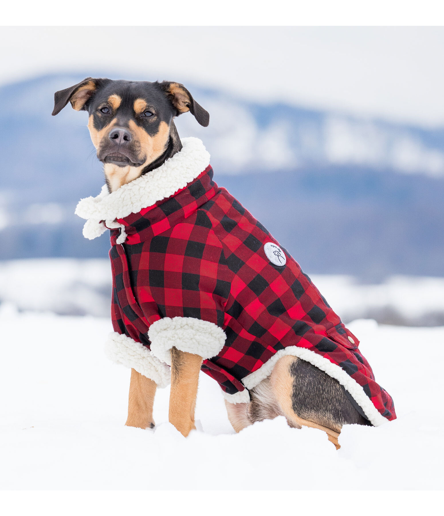 Flanell-Hundejacke mit Sherpa-Innenfutter Emmet