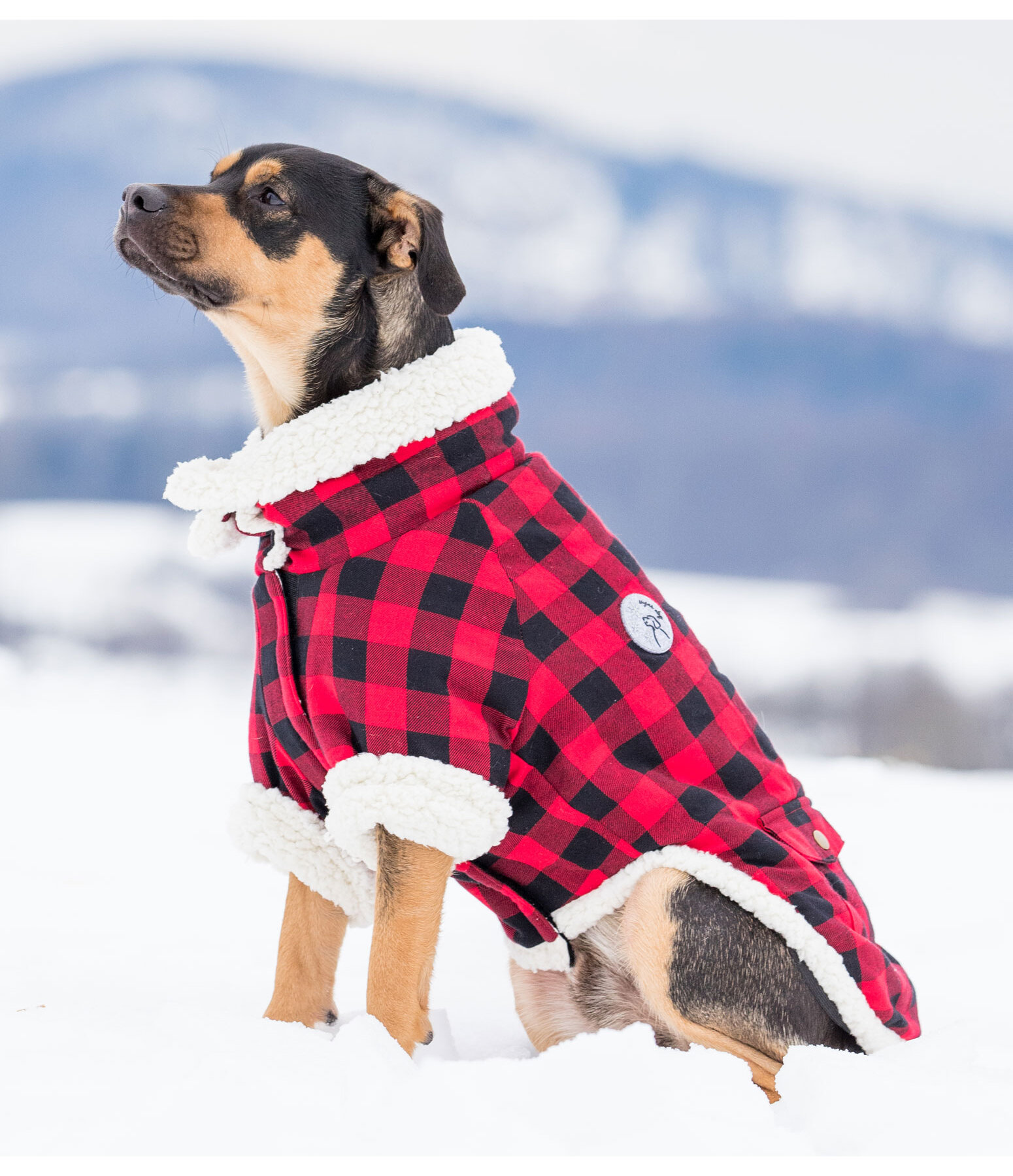 Flanell-Hundejacke mit Sherpa-Innenfutter Emmet