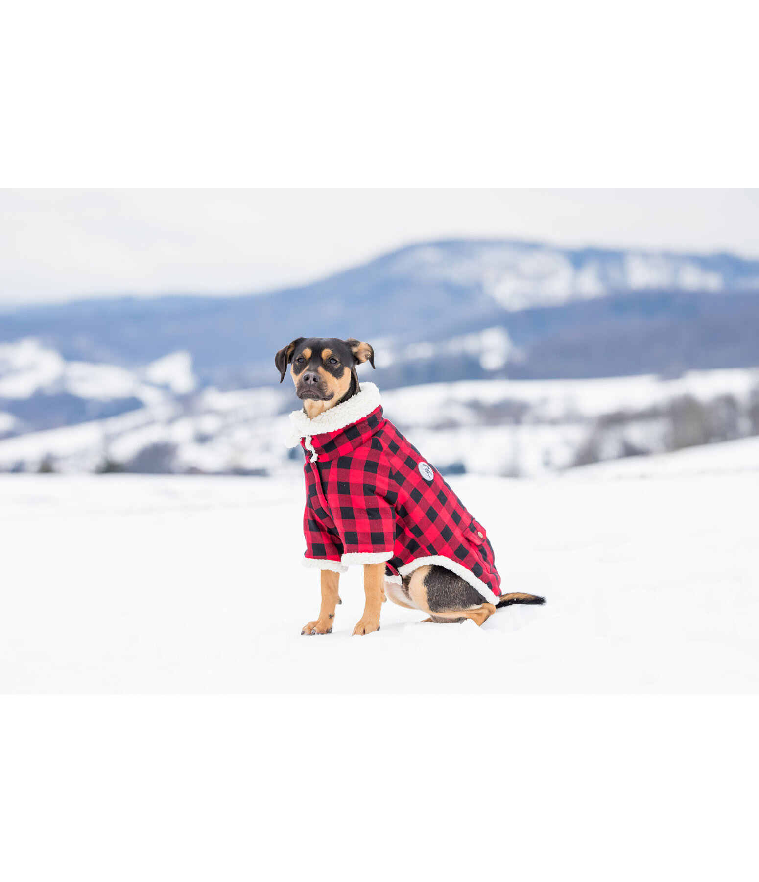 Flanell-Hundejacke mit Sherpa-Innenfutter Emmet