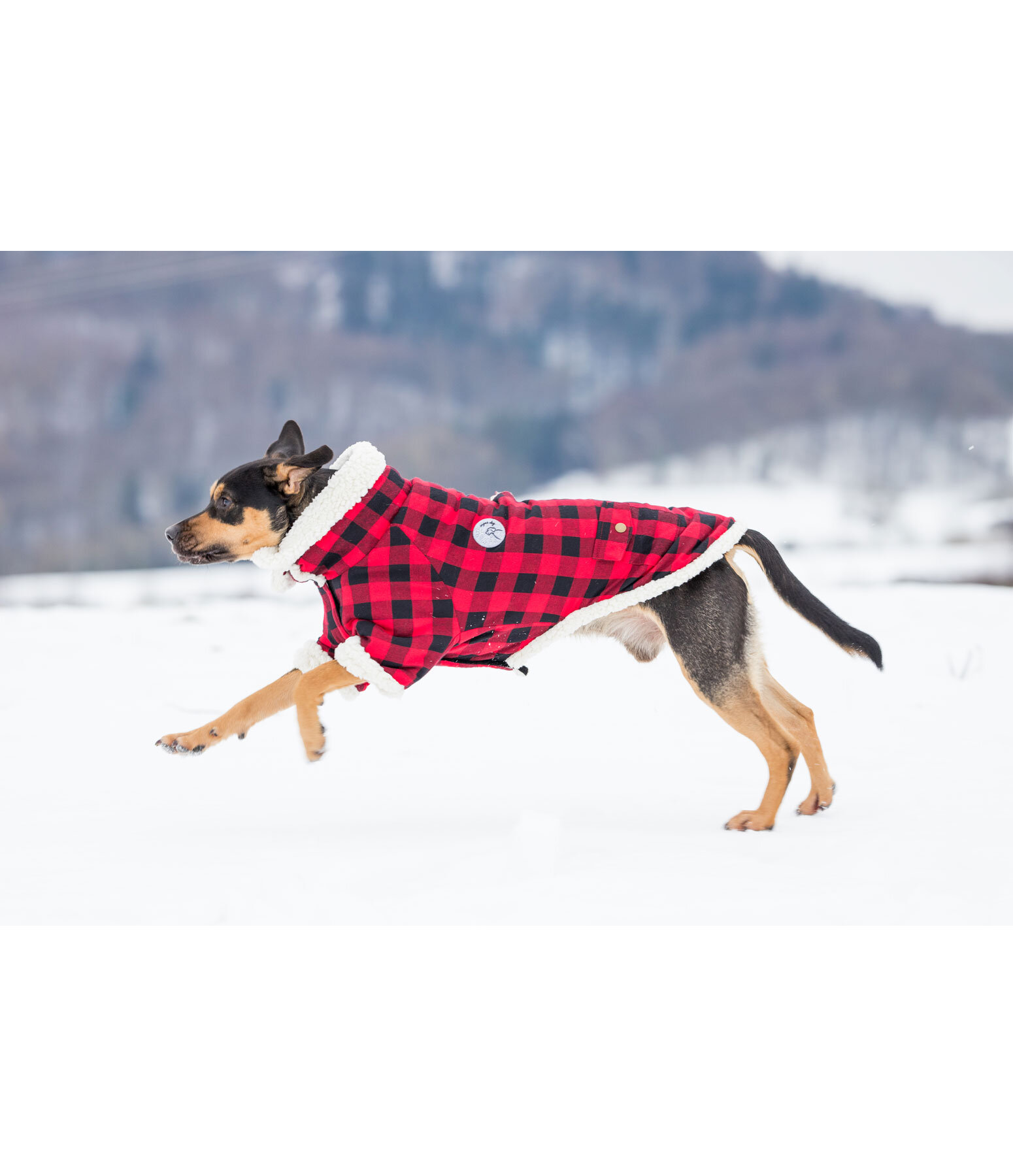 Flanell-Hundejacke mit Sherpa-Innenfutter Emmet