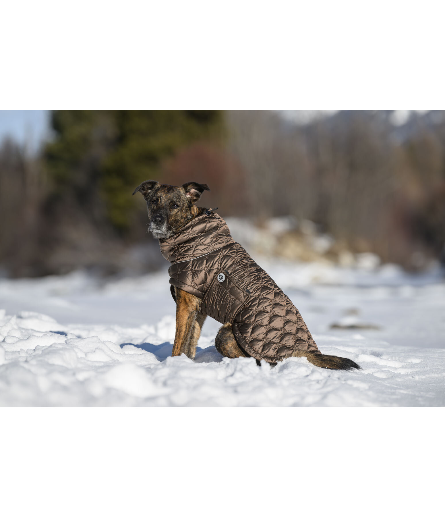 Lightweight Hunde-Steppjacke Cliff mit Fleecelining, 200 g