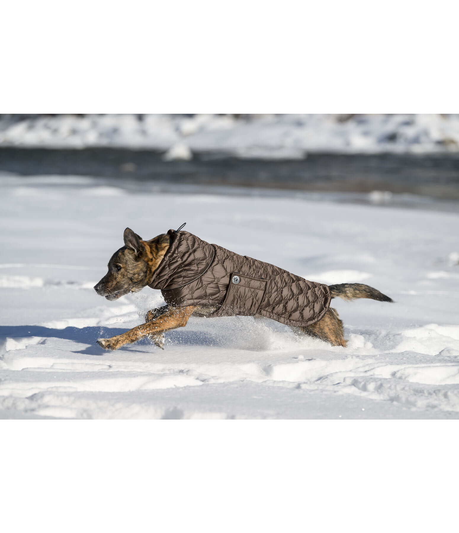 Lightweight Hunde-Steppjacke Cliff mit Fleecelining, 200 g