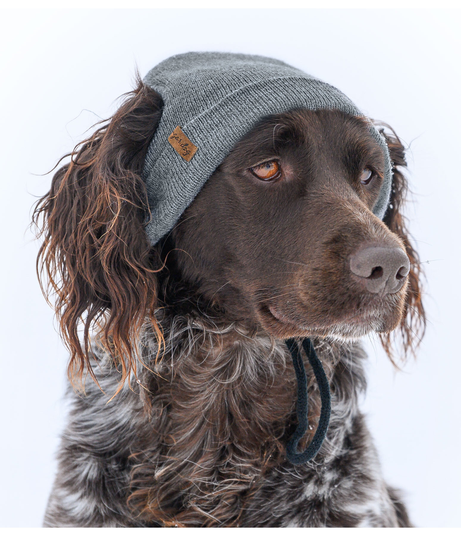 Hunde-Beanie Evin