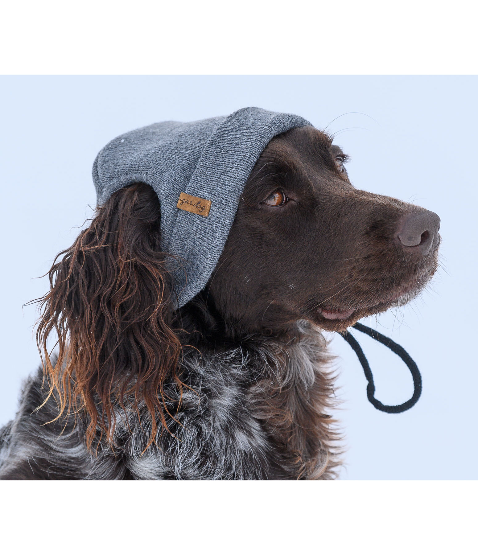 Hunde-Beanie Evin