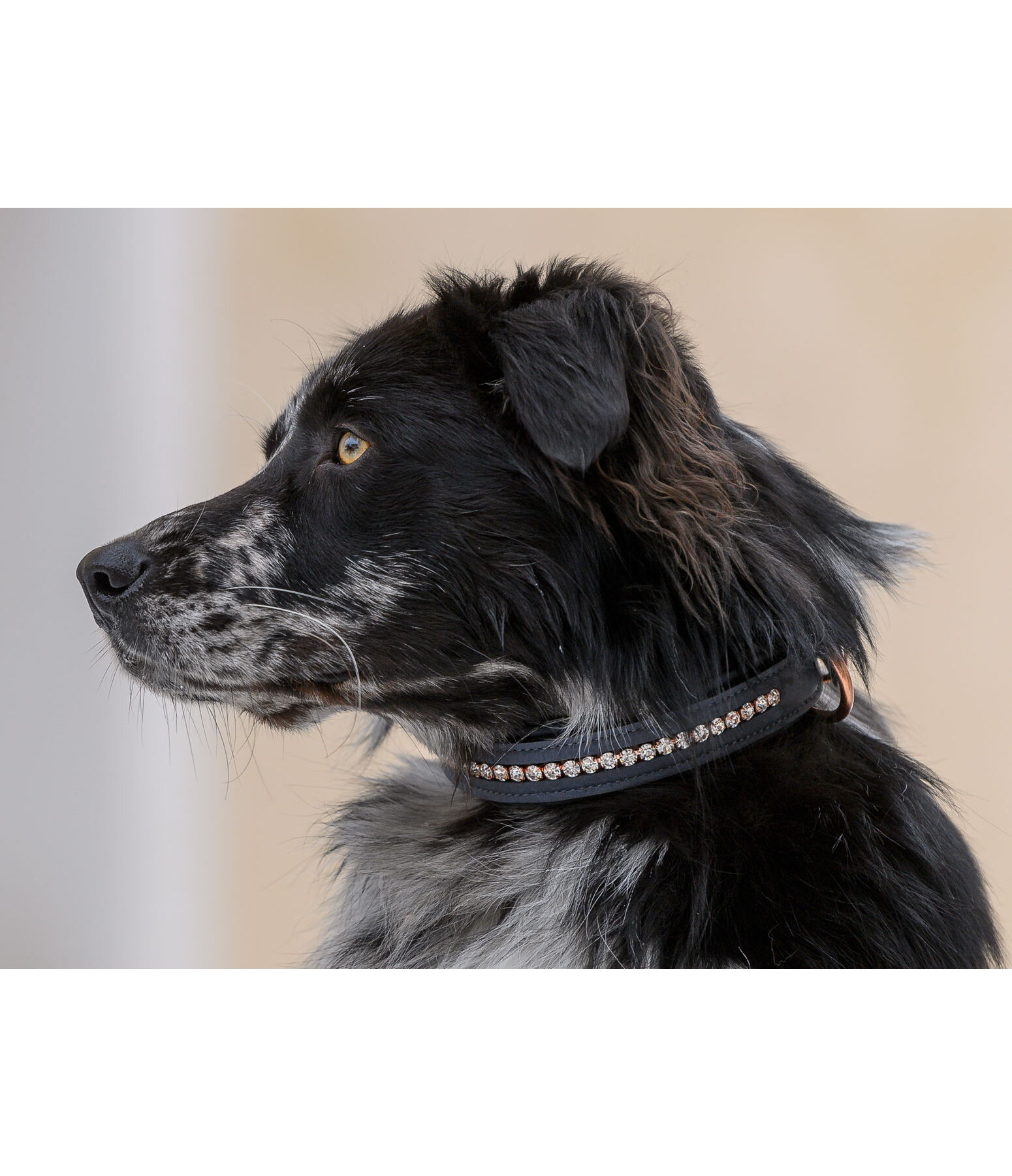 Leder-Hundehalsband Romy