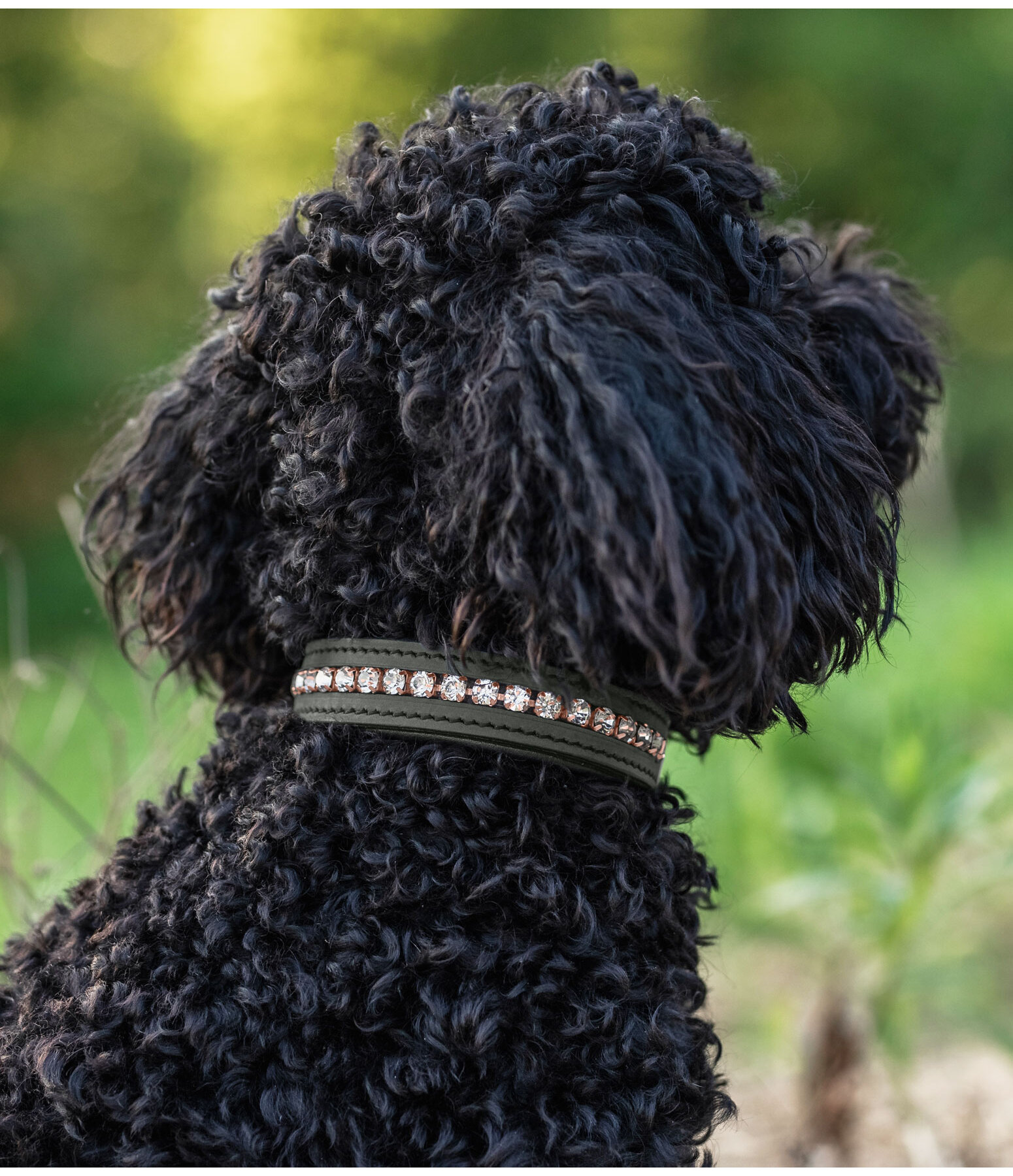 Leder-Hundehalsband Romy