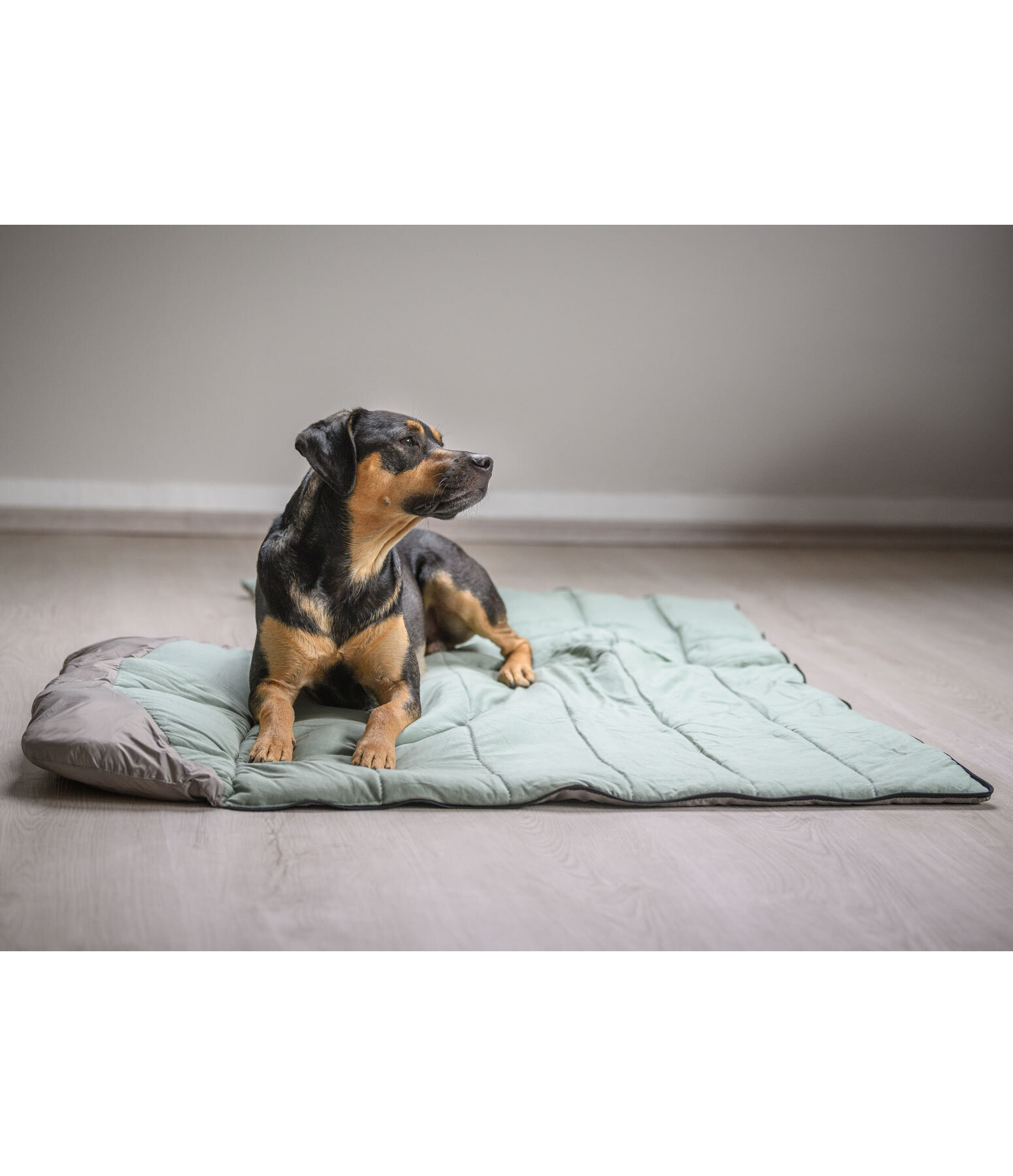 Hunde-Schlafsack Adventure Seeker