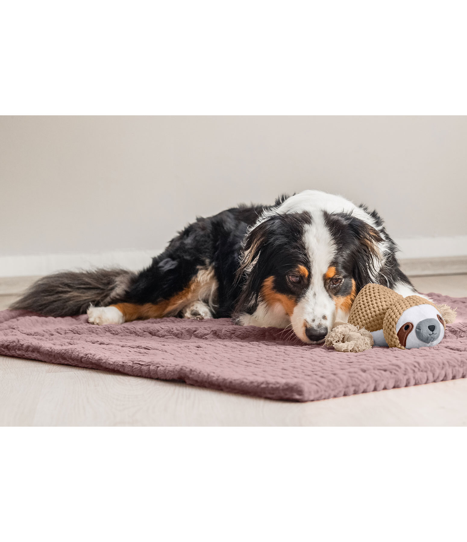 Hundespielzeug Kuschel-Faultier Lazy