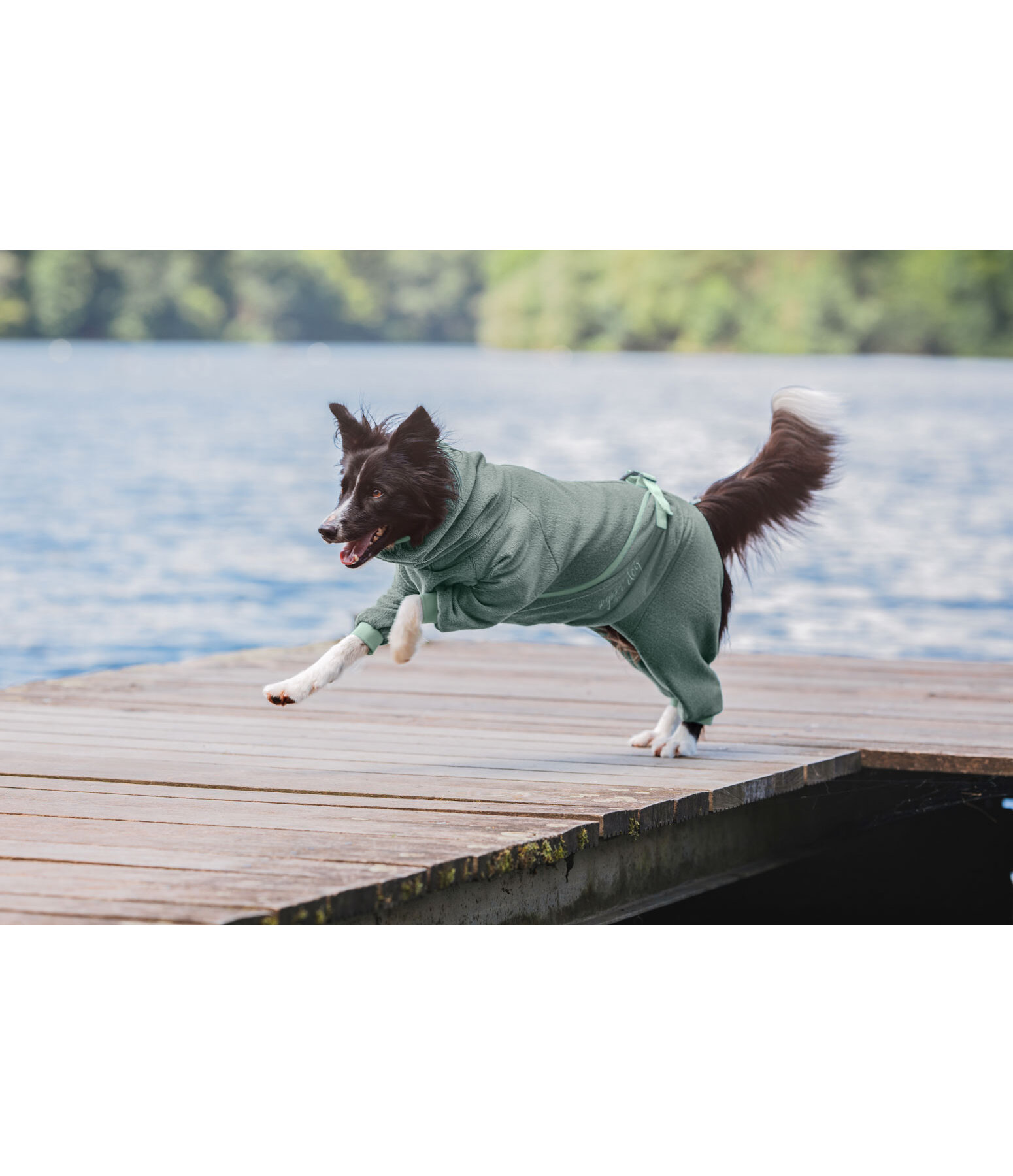 Hunde-Bademantel Allover Dry