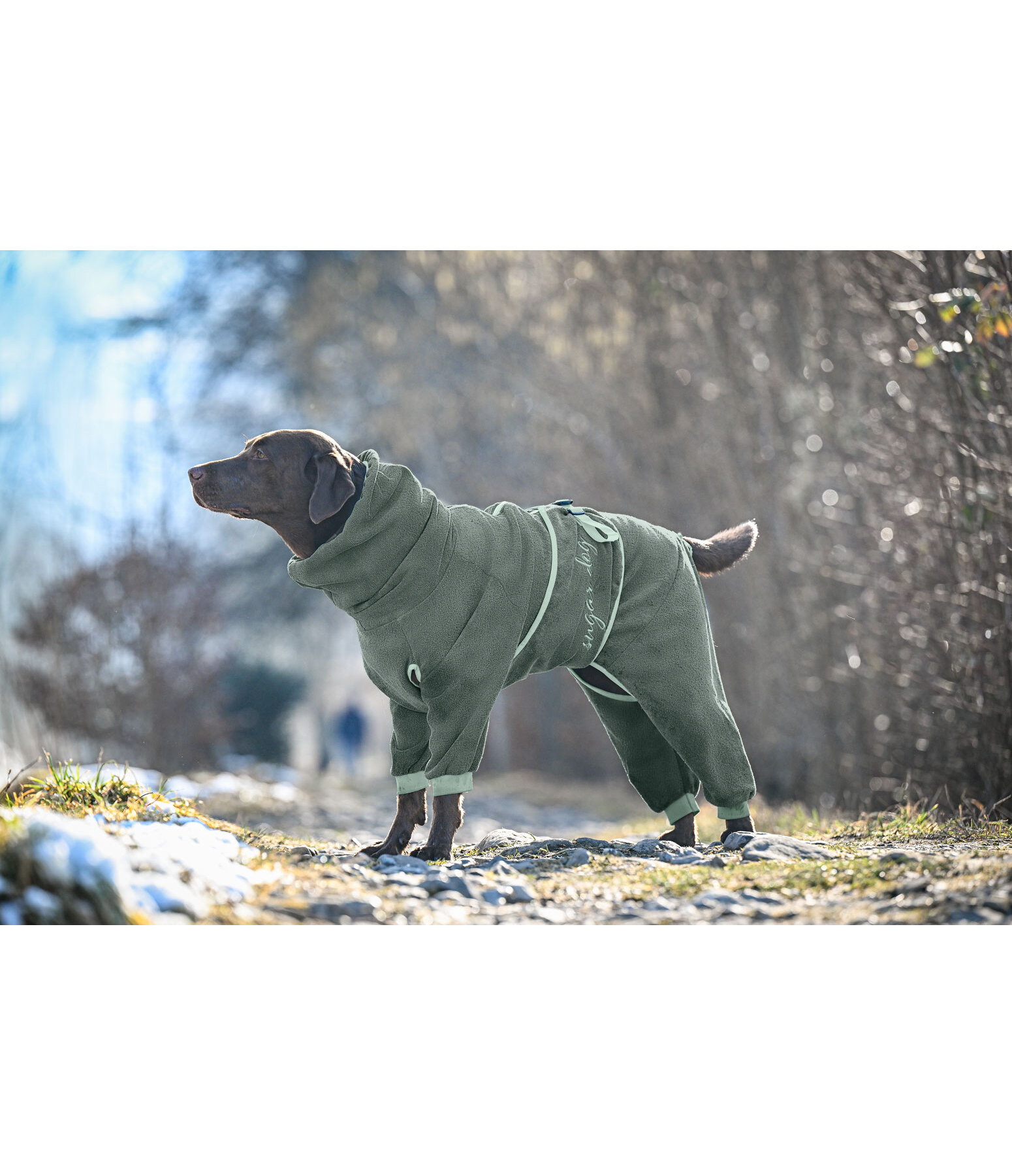 Hunde-Bademantel Allover Dry