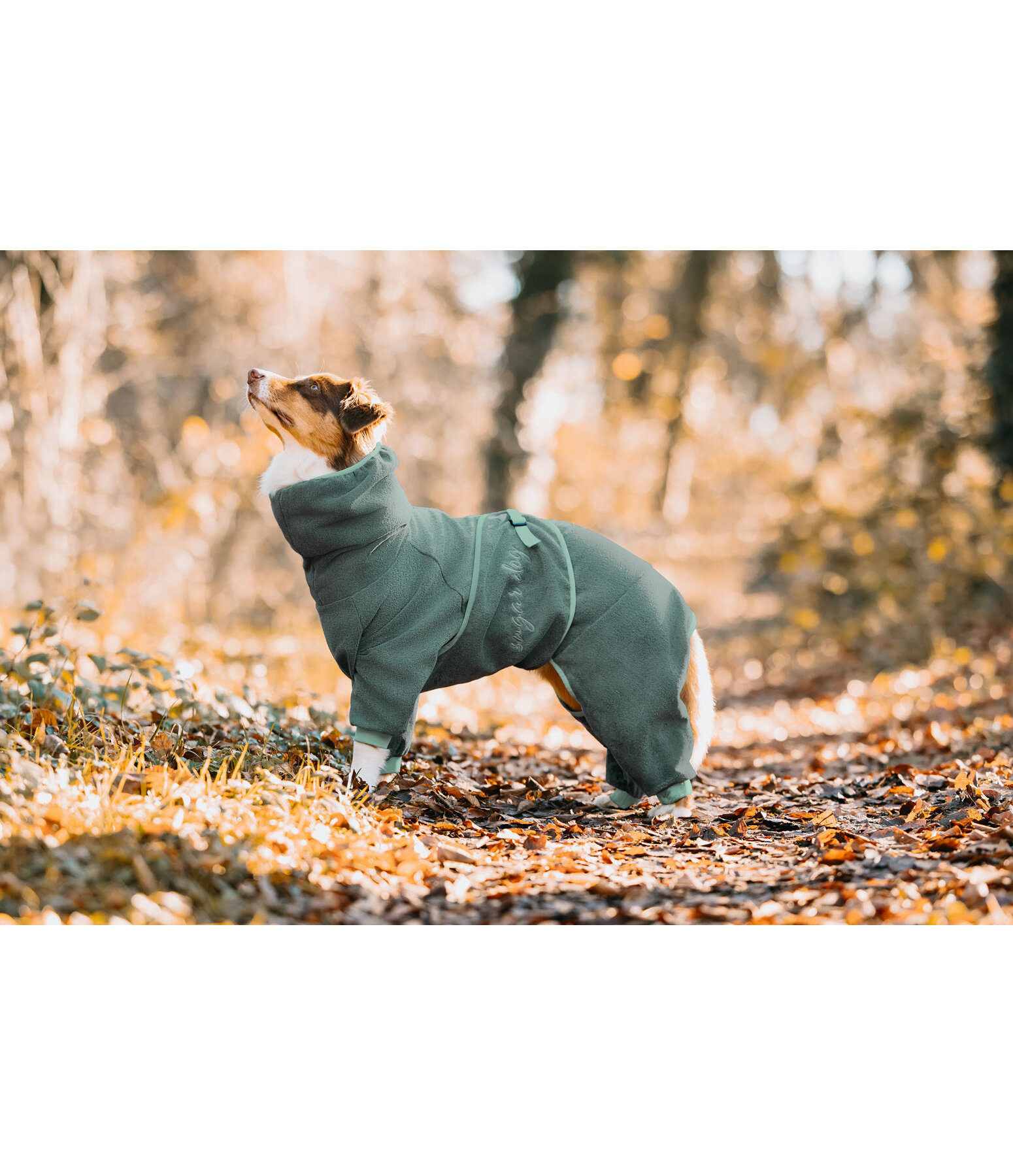 Hunde-Bademantel Allover Dry