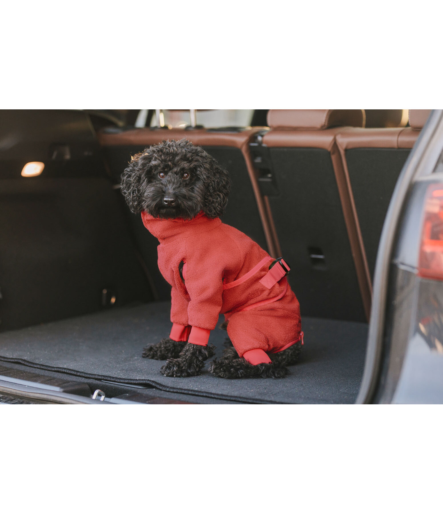 Hunde-Bademantel Allover Dry