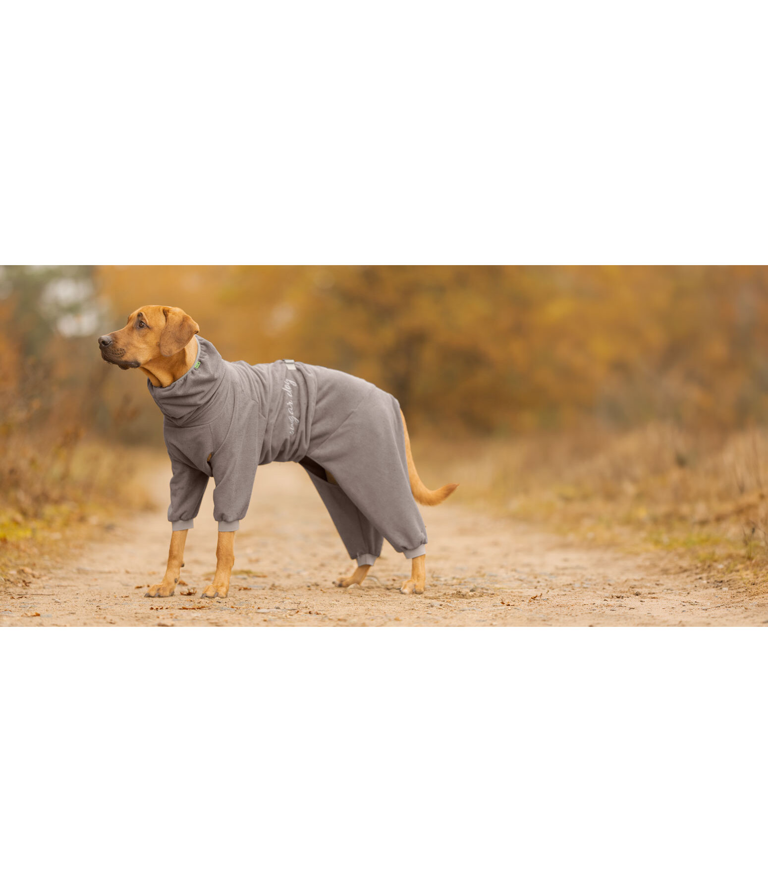 Hunde-Bademantel Allover Dry