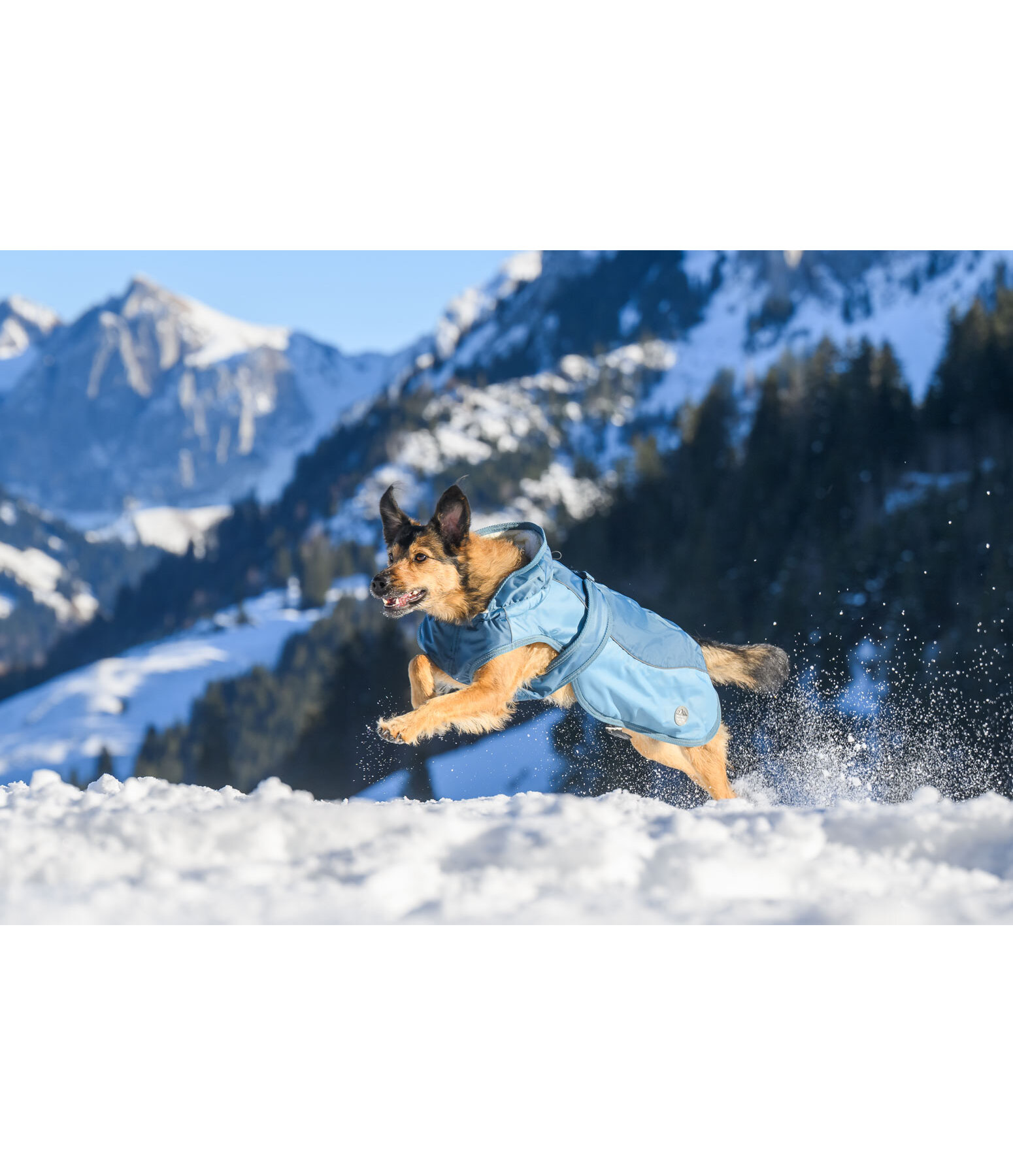 Winter-Hundemantel Glacier Bay mit Teddyfleece-Innenfutter, 100 g