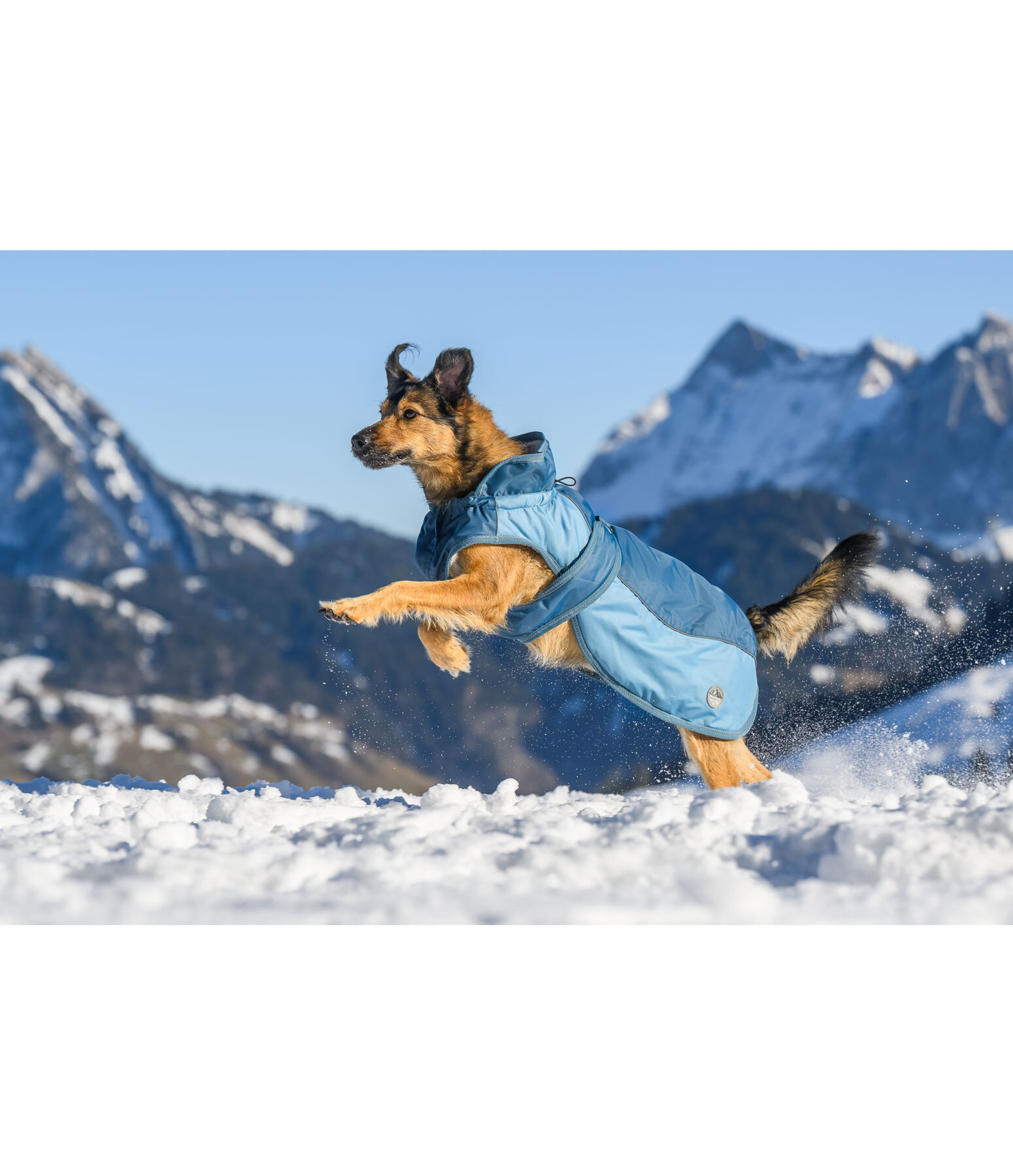Winter-Hundemantel Glacier Bay mit Teddyfleece-Innenfutter, 100 g