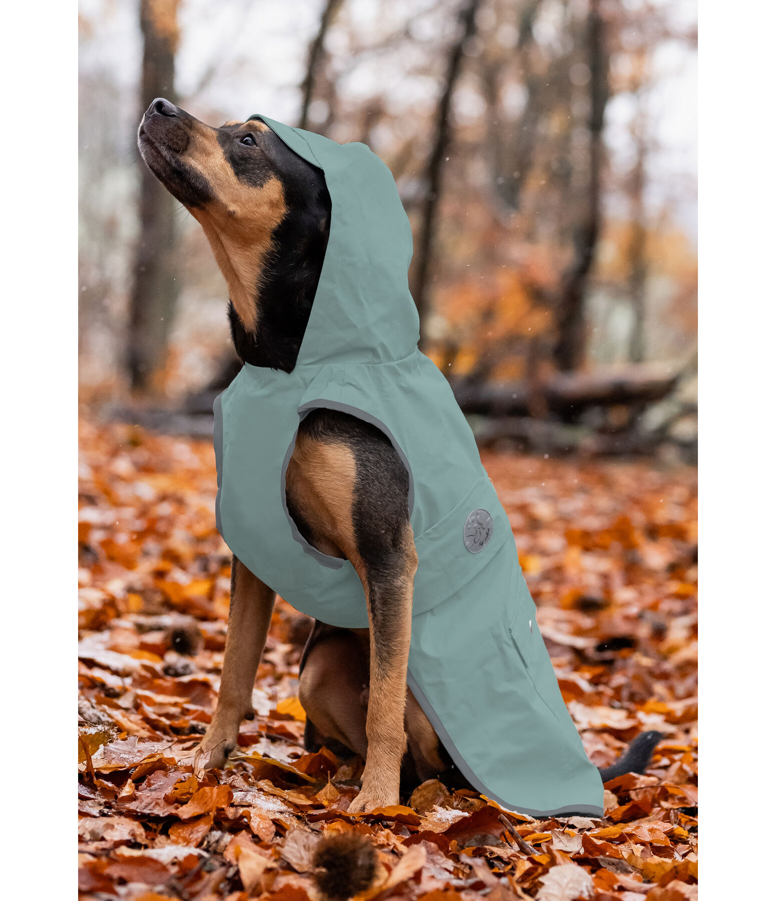 Hunde-Regenmantel Waterton Lakes, 0 g