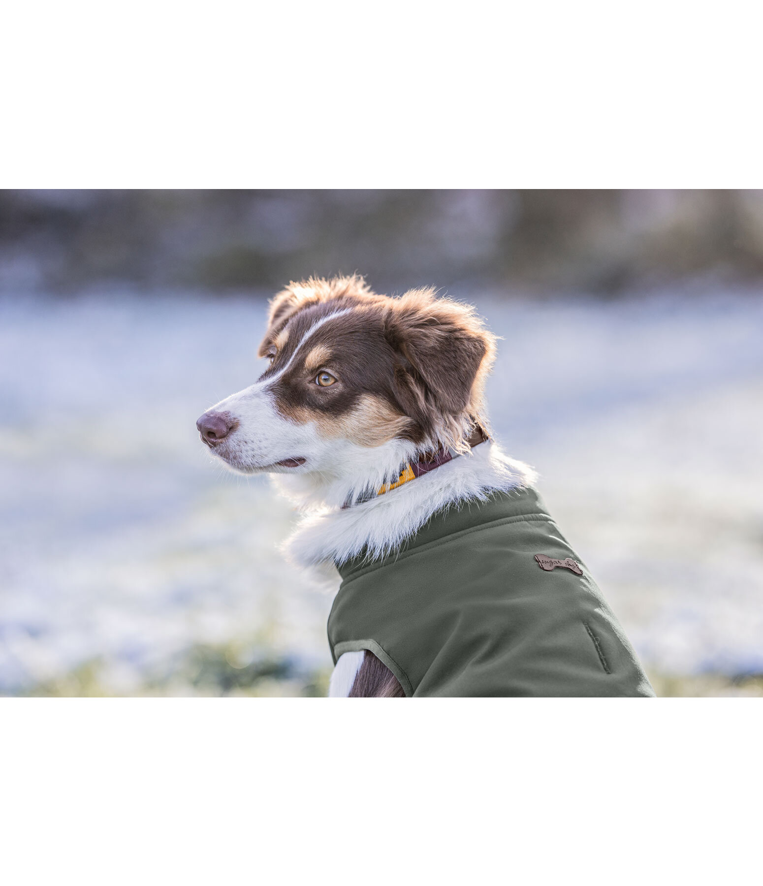 Softshell-Hunde-Wendeweste Yoko, 80 g