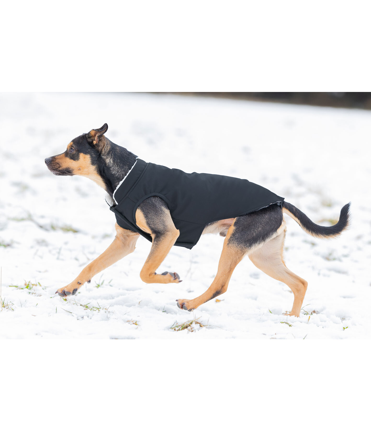 Softshell-Hunde-Wendeweste Yoko, 80 g