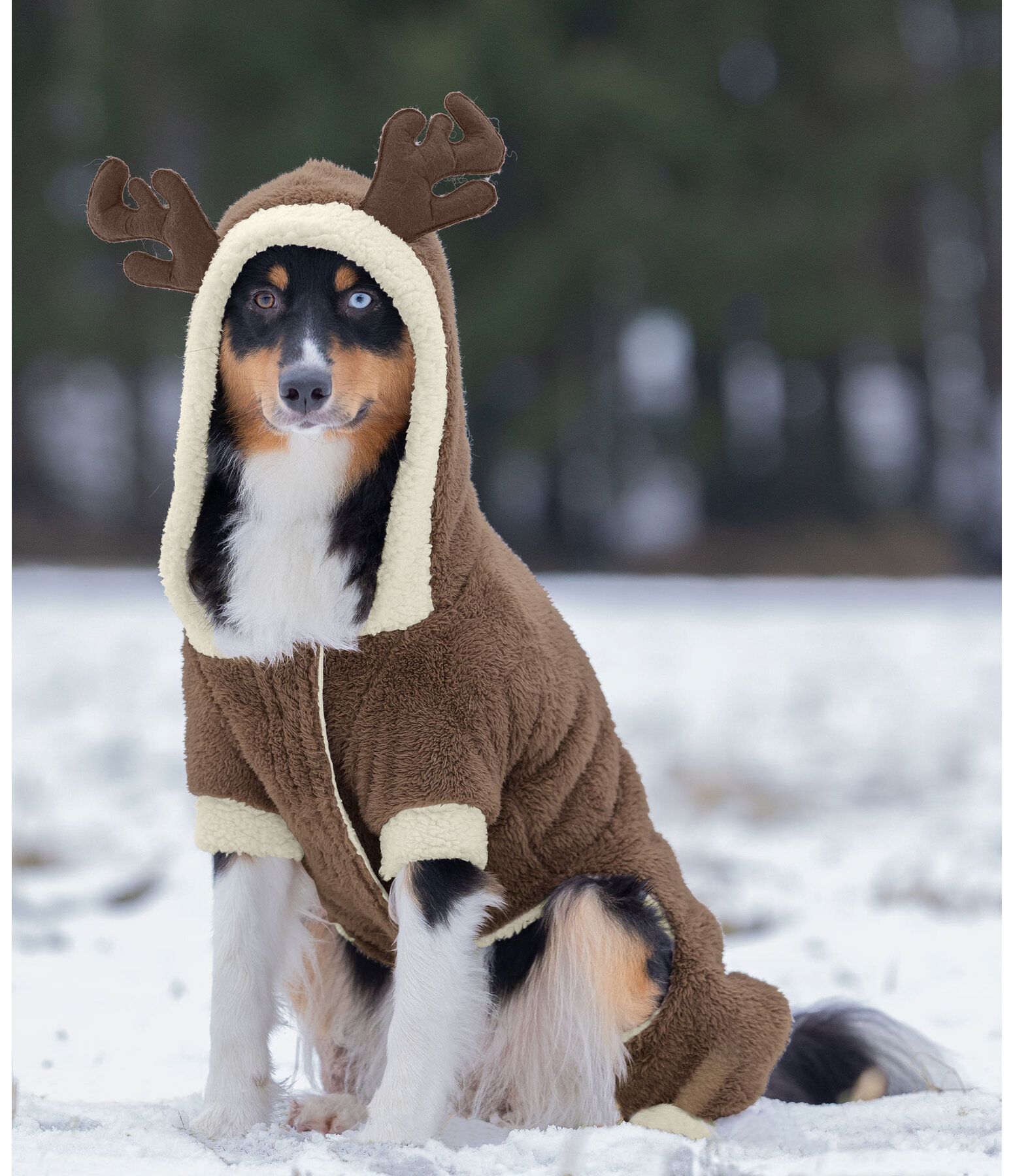 Kuschel-Hunde-Onesie Rudolph