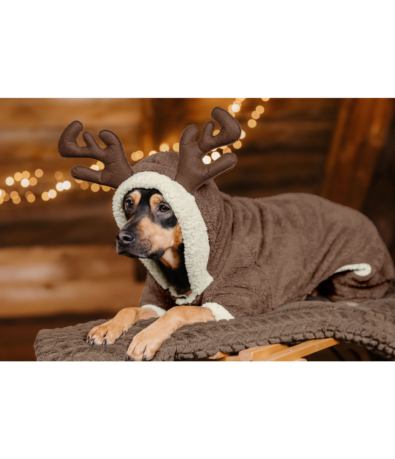 Kuschel-Hunde-Onesie Rudolph