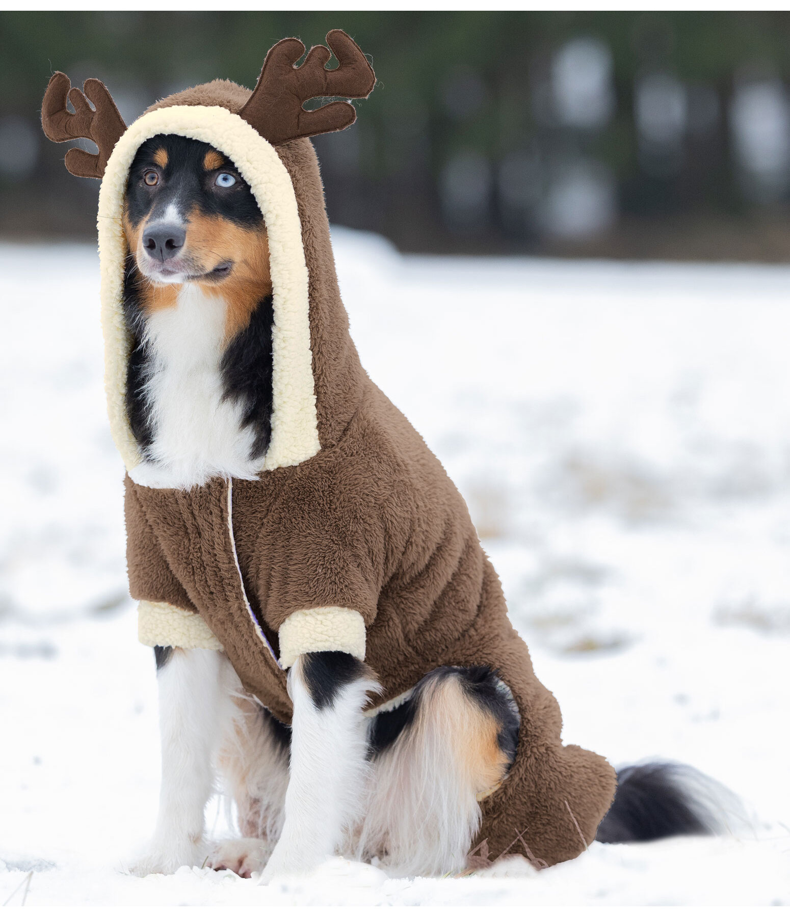 Kuschel-Hunde-Onesie Rudolph