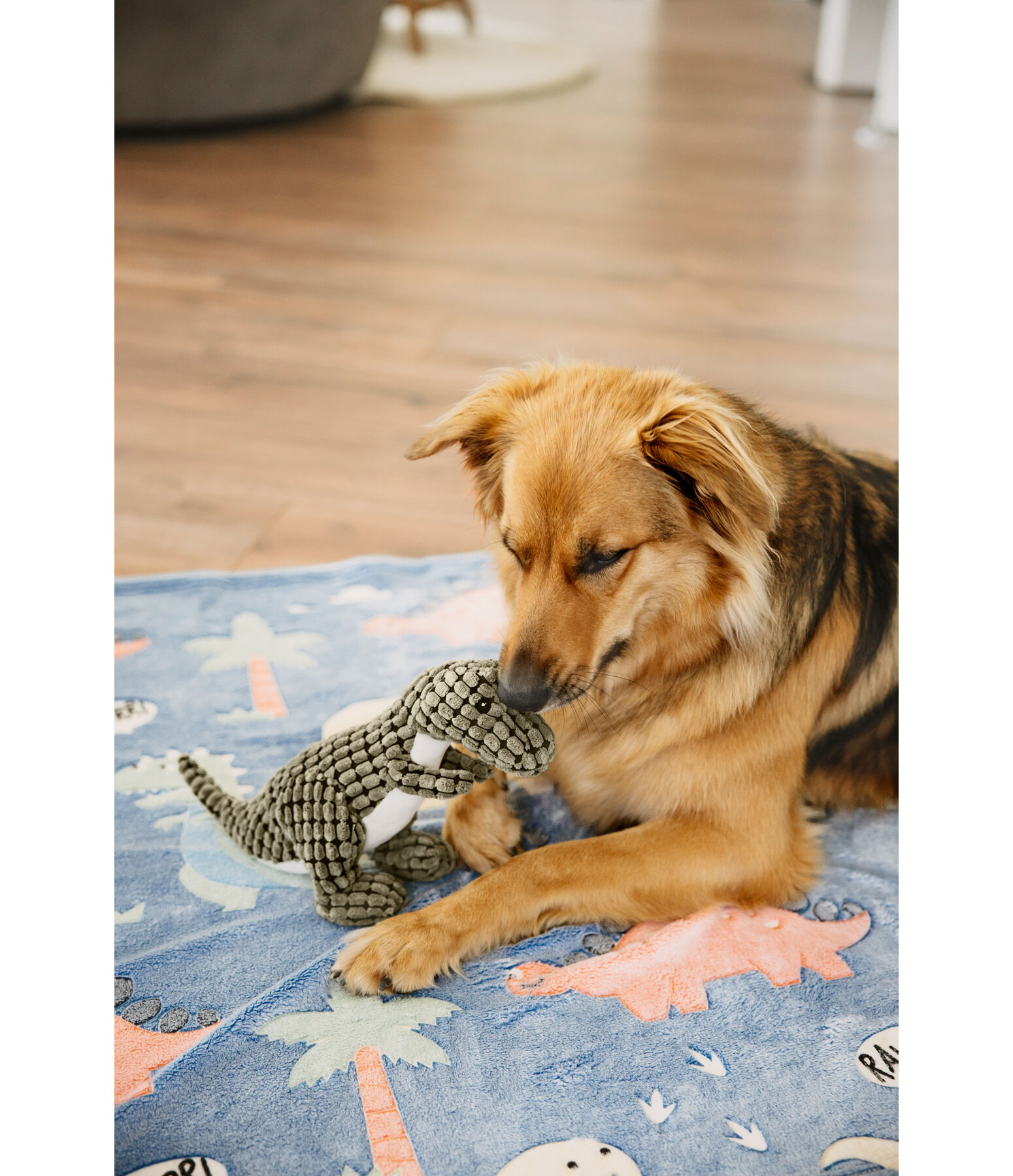 Hundespielzeug Kuschel-Dino Rexy