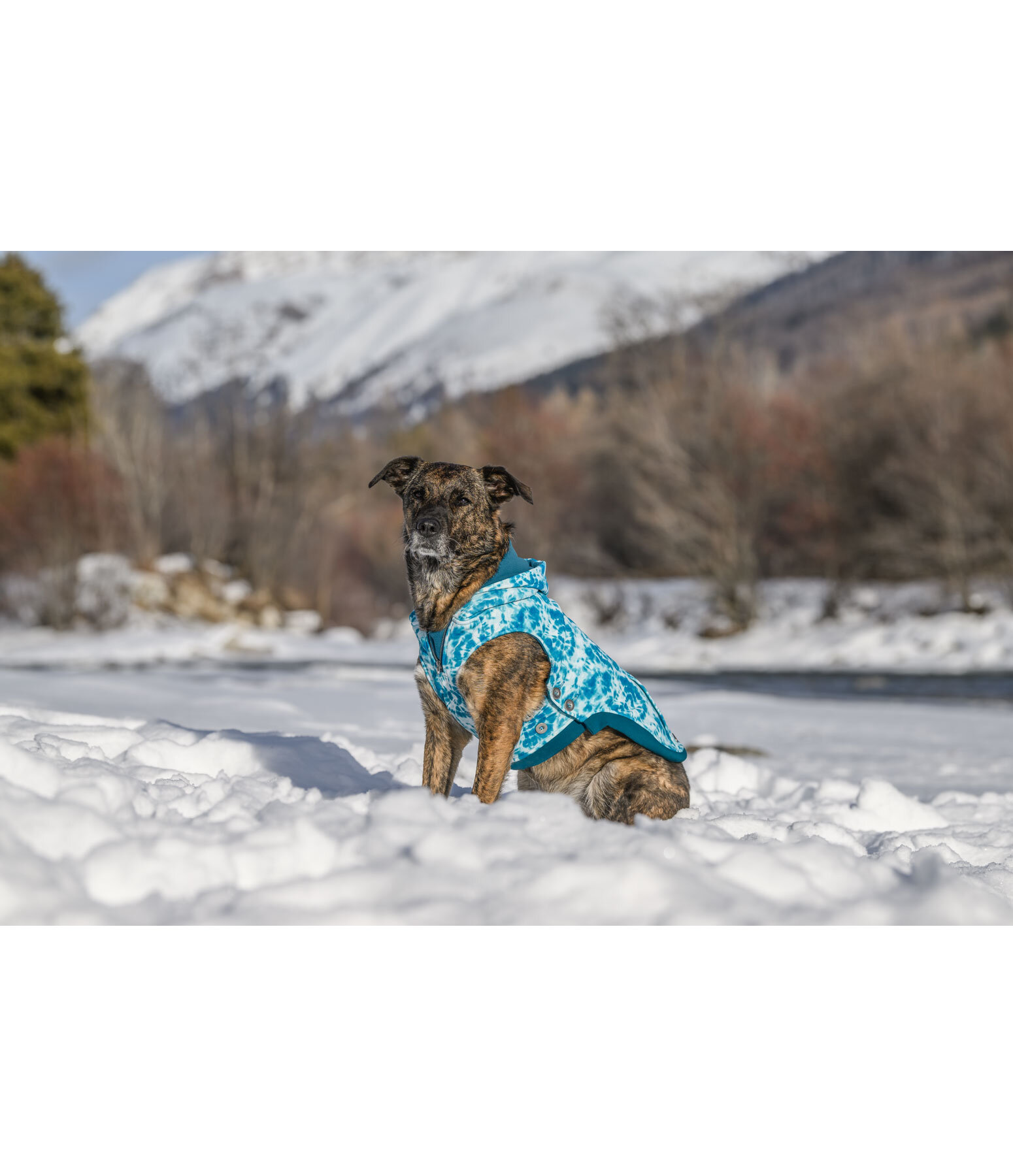 Batik-Hunde-Hoodie Daphne