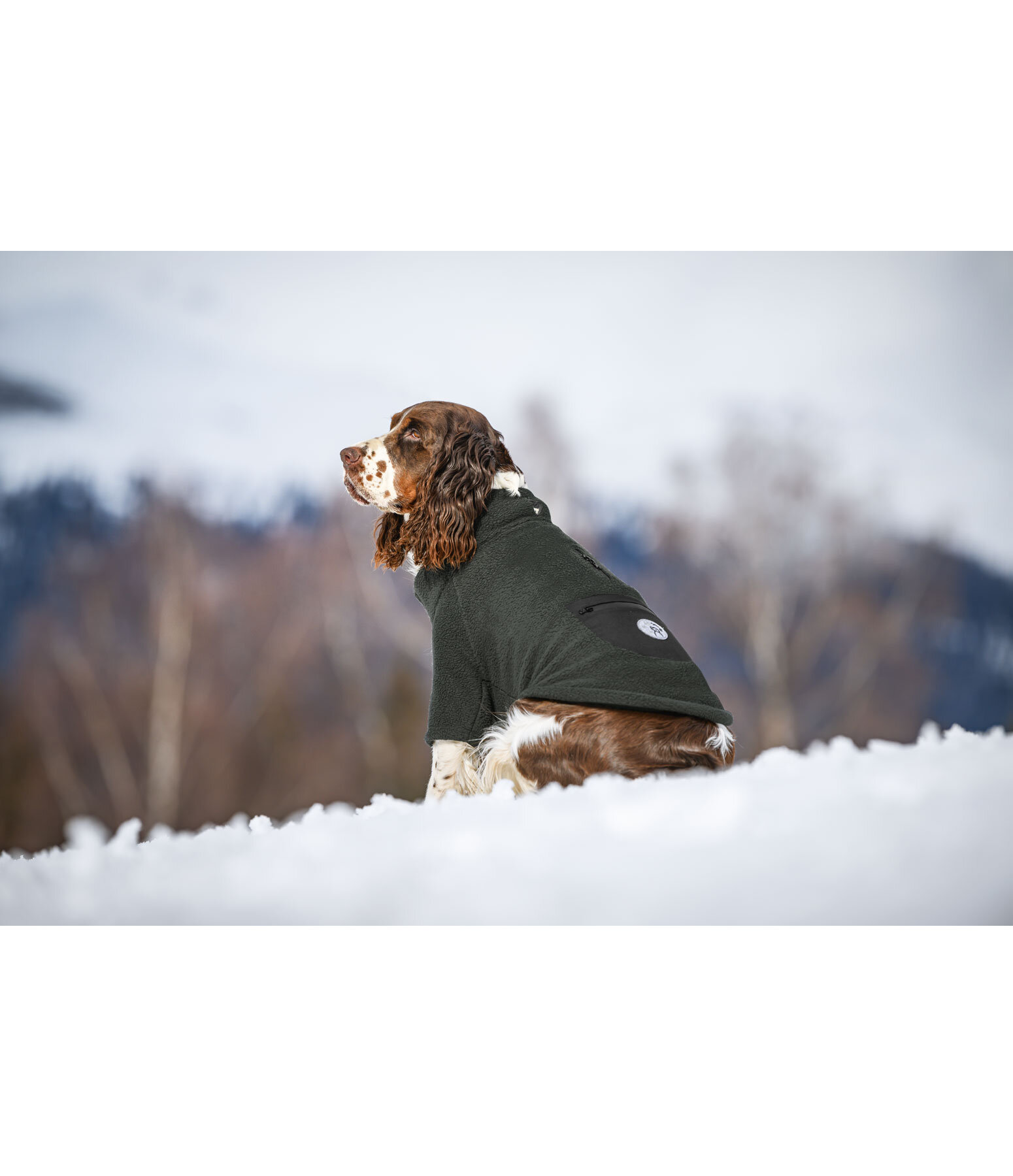 Sherpa-Hunde-Sweater Eden