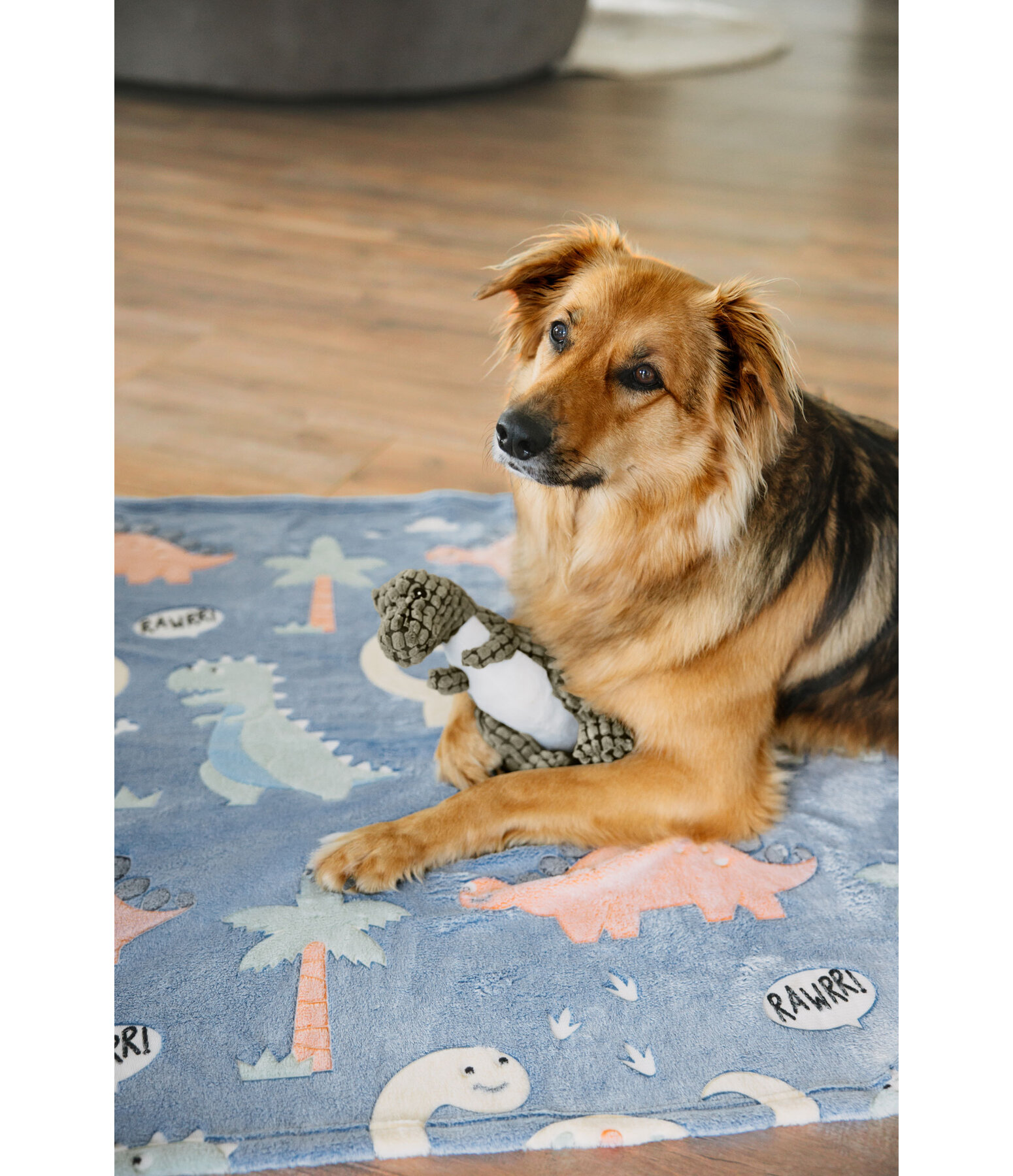 Hundedecke Glow in the Dark