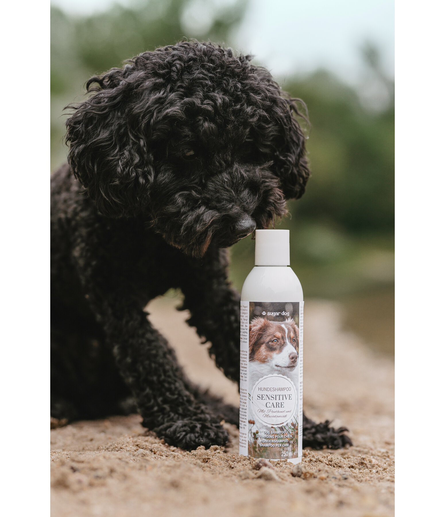 Hundeshampoo Sensitive Care