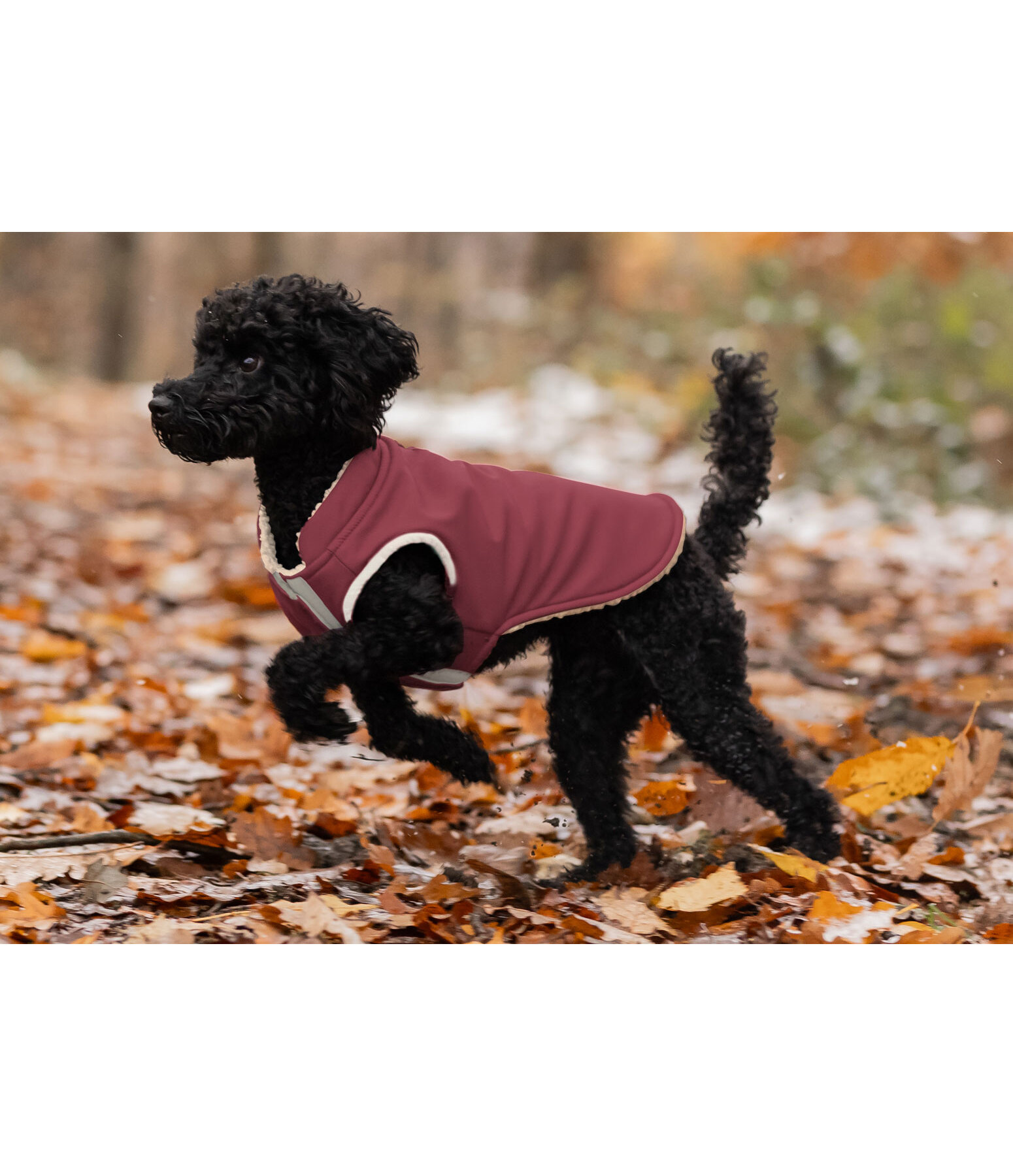 Softshell-Hunde-Wendeweste Willa, 80 g