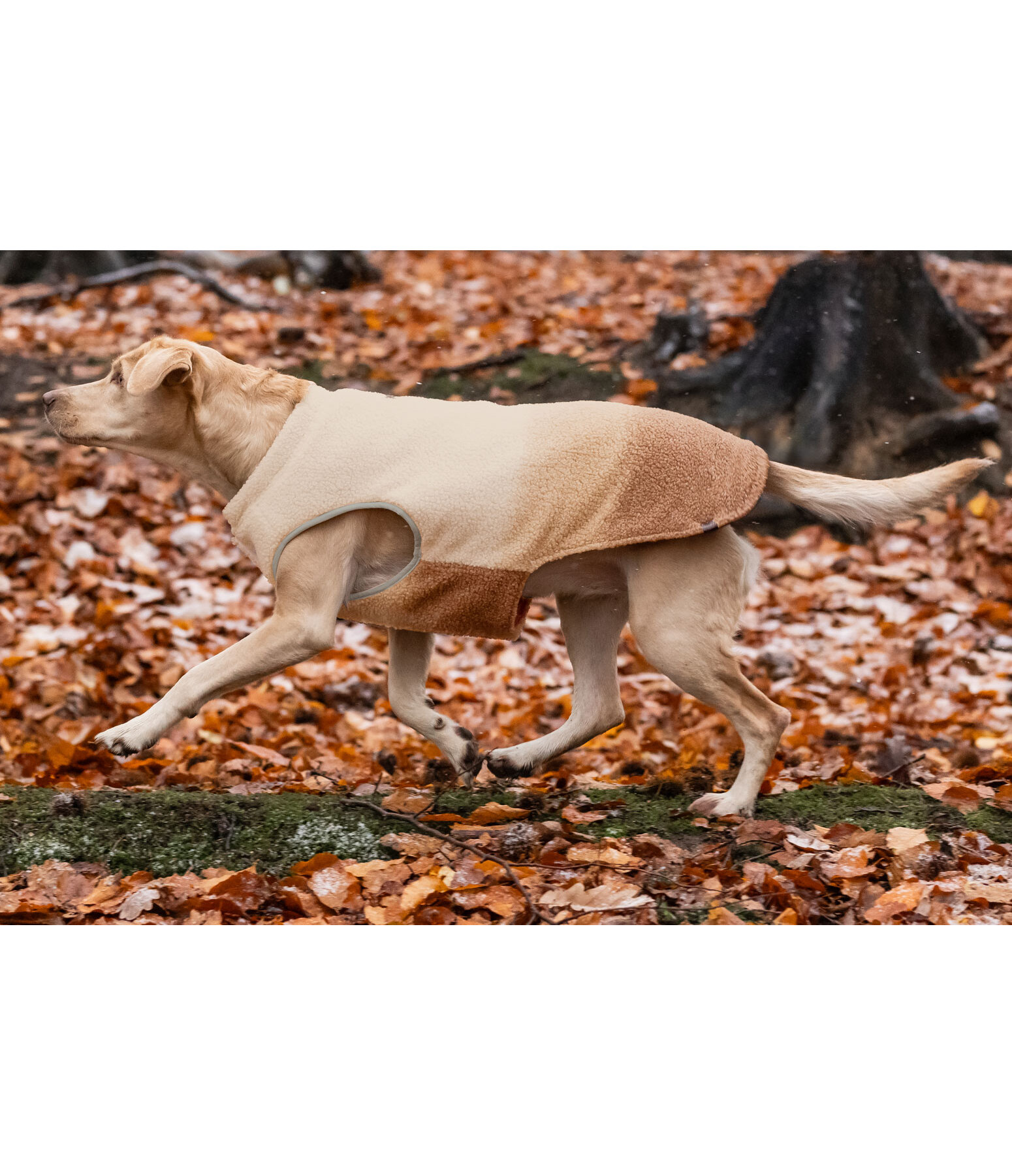 Softshell-Hunde-Wendeweste Willa, 80 g