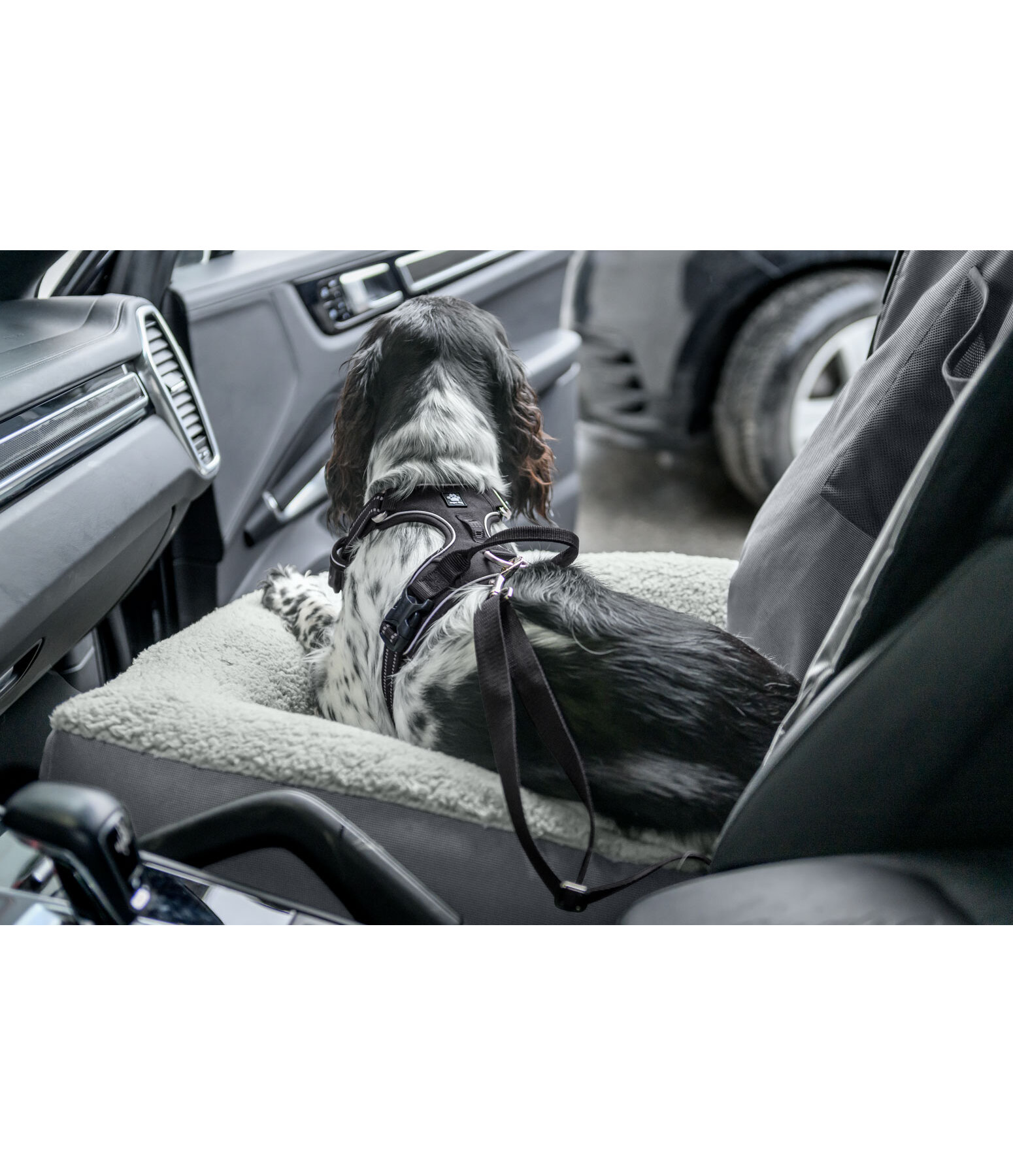 Autositz-Hundebett Maine