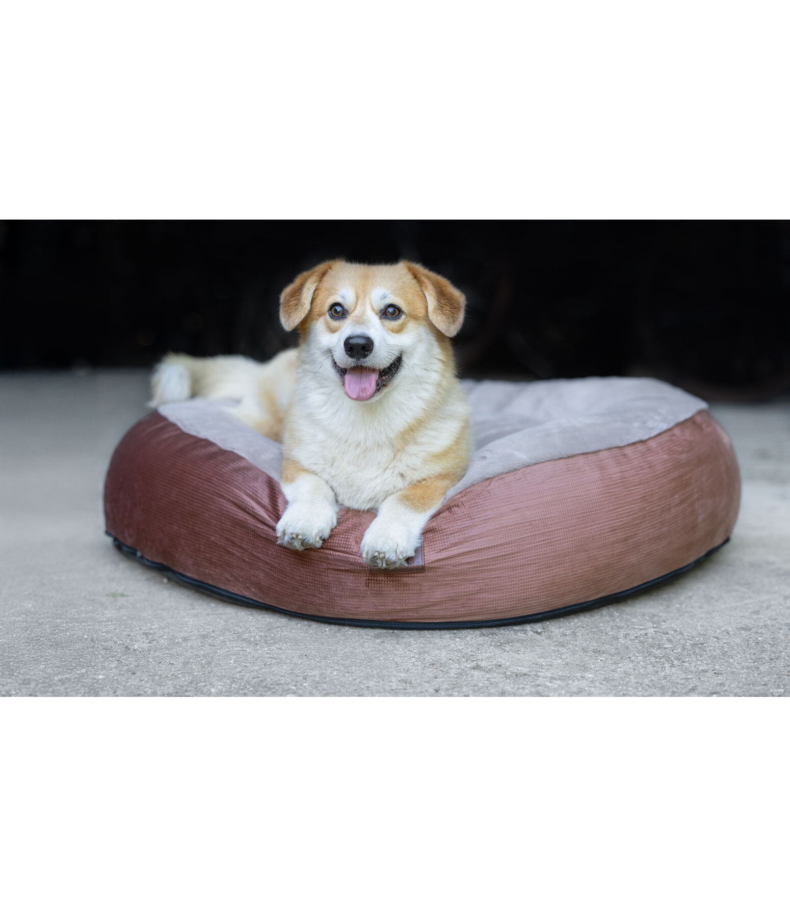 Memory Foam Hundebett Quincy