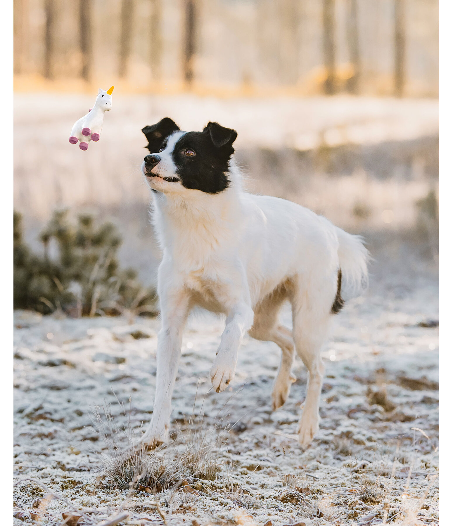 Quietsch-Spielzeug Unicorn fr Hunde