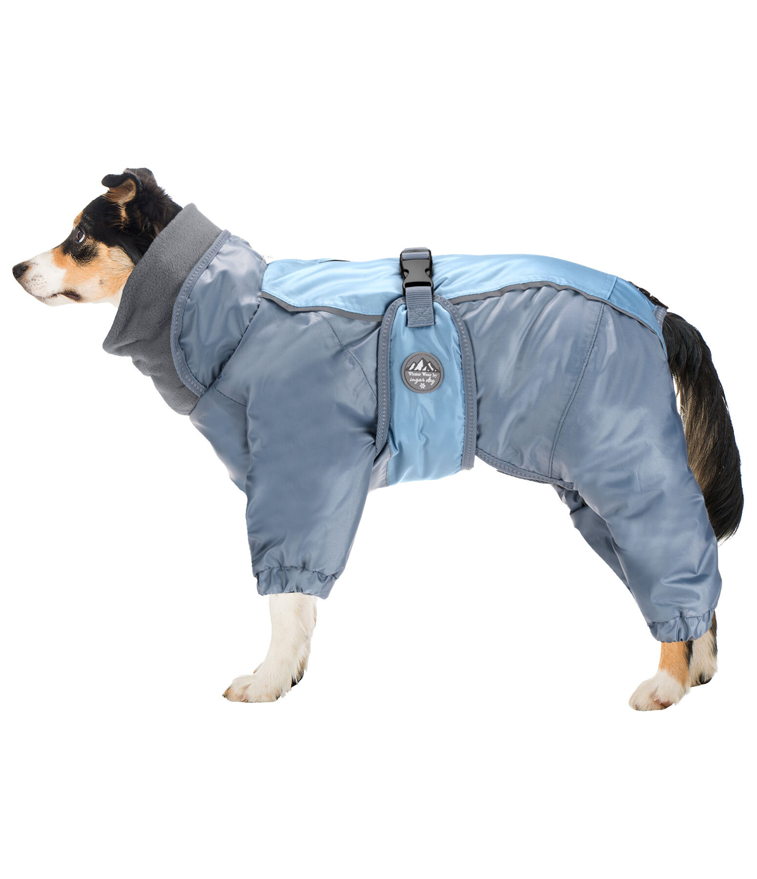 Snow wear for dogs best sale