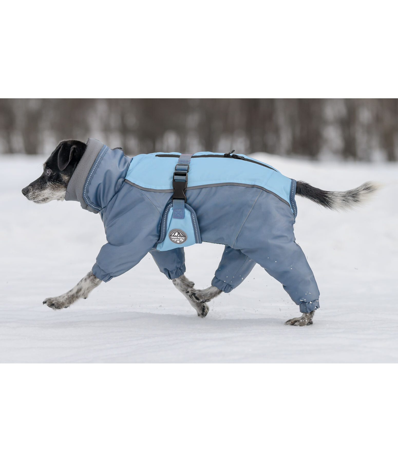 Schnee-Overall Mount Whistler für Hunde, 120 g