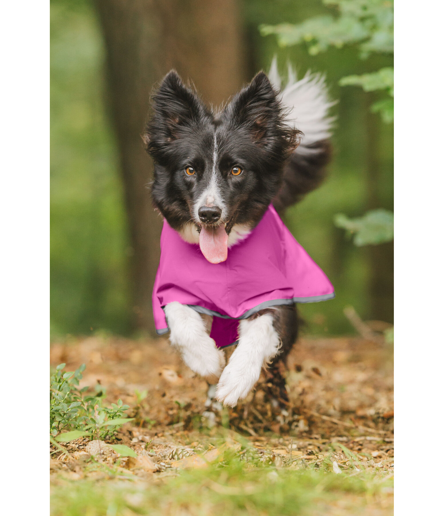 Hunde-Regenmantel Thousand Islands, 0 g