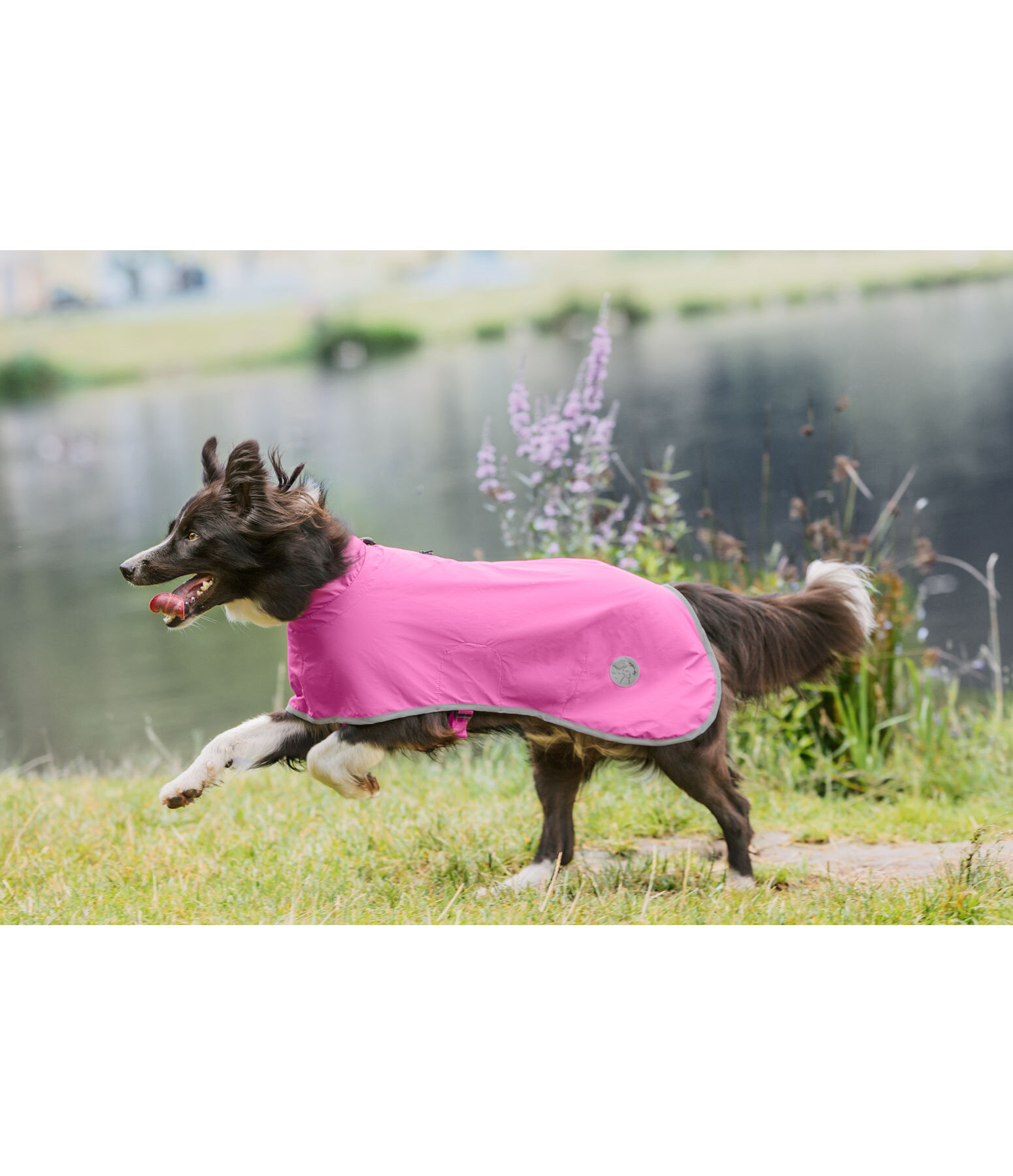 Hunde-Regenmantel Thousand Islands, 0 g