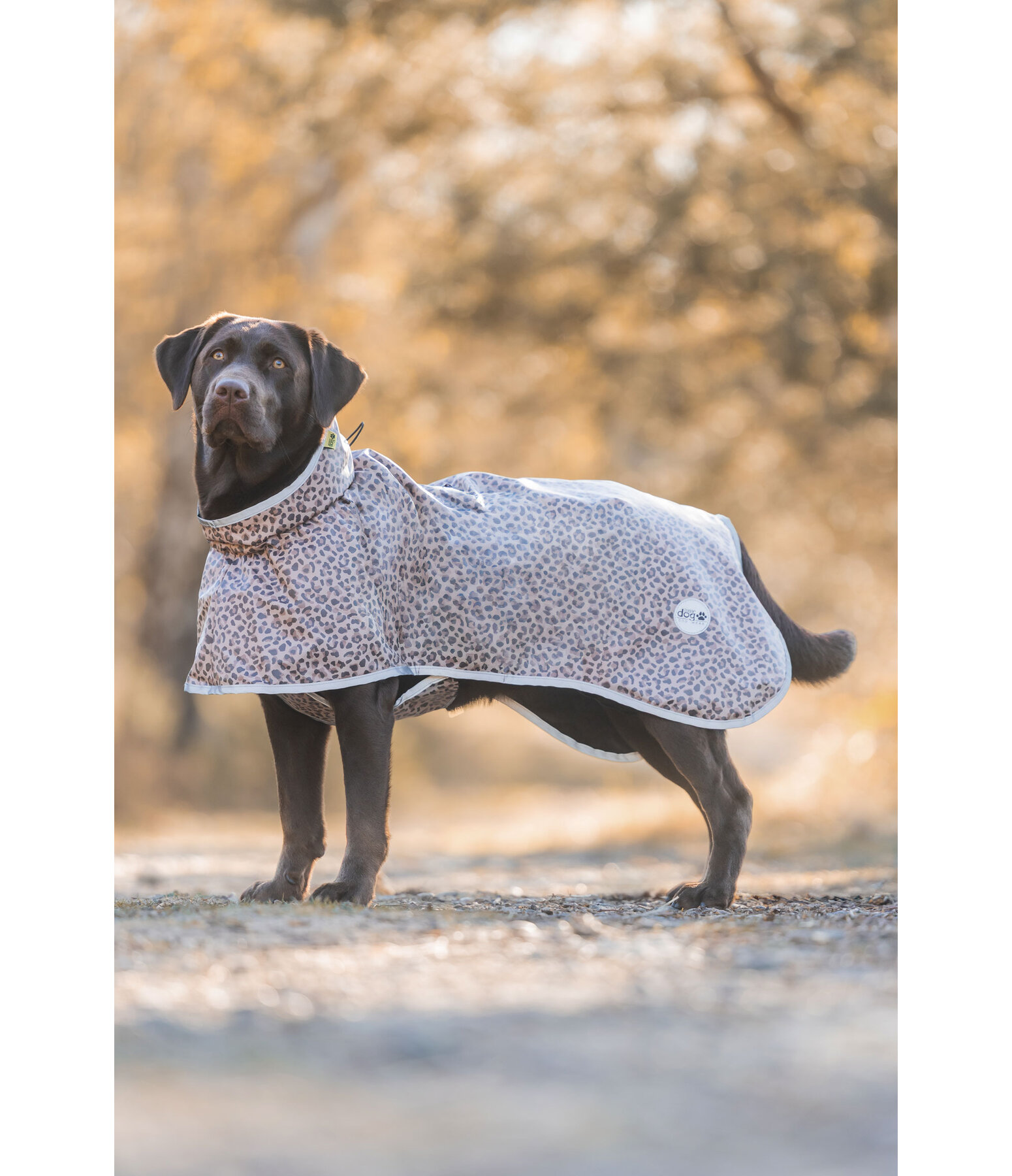 Hunde-Regenmantel Thousand Islands, 0 g